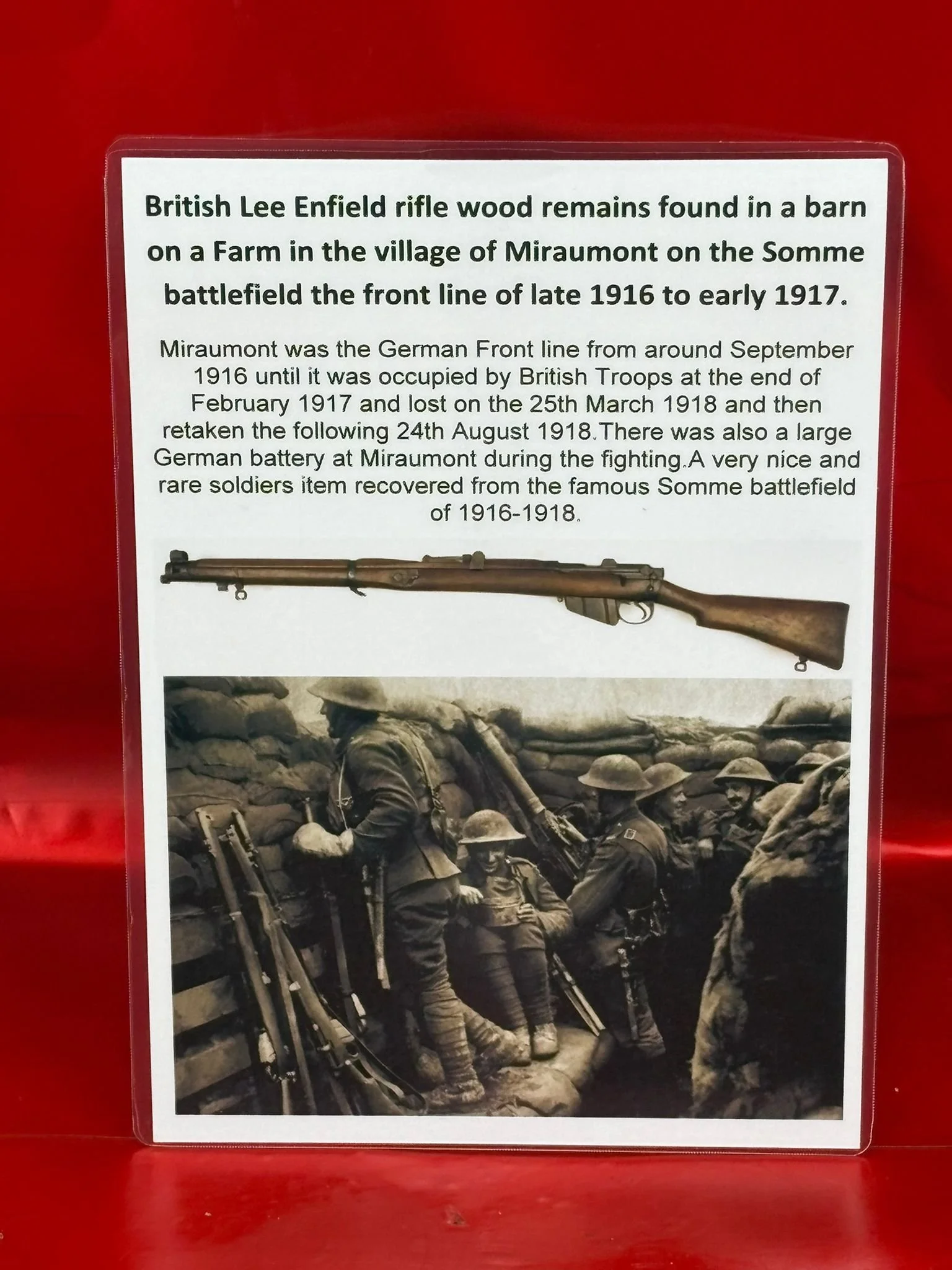 WhatsApp Image 2025-11-16 at 15.05.20 (7).jpeg