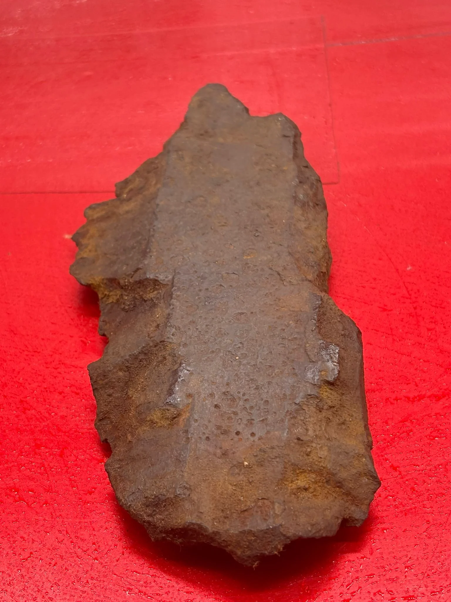 WhatsApp Image 2025-11-18 at 15.10.49 (1).jpeg