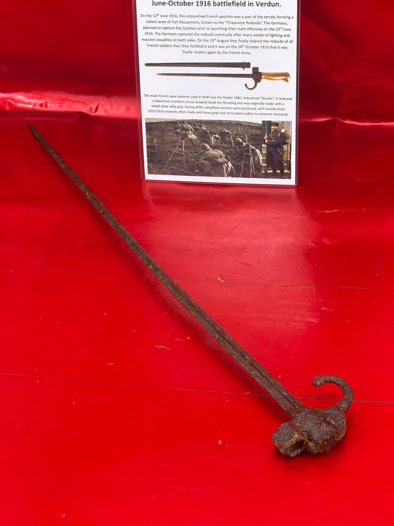 WhatsApp Image 2025-11-16 at 16.04.35 (3).jpeg