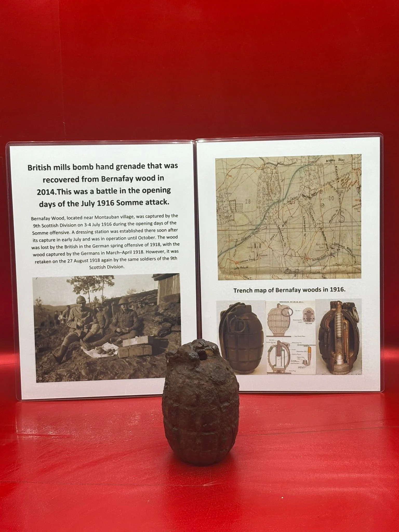 WhatsApp Image 2025-11-16 at 16.11.05.jpeg