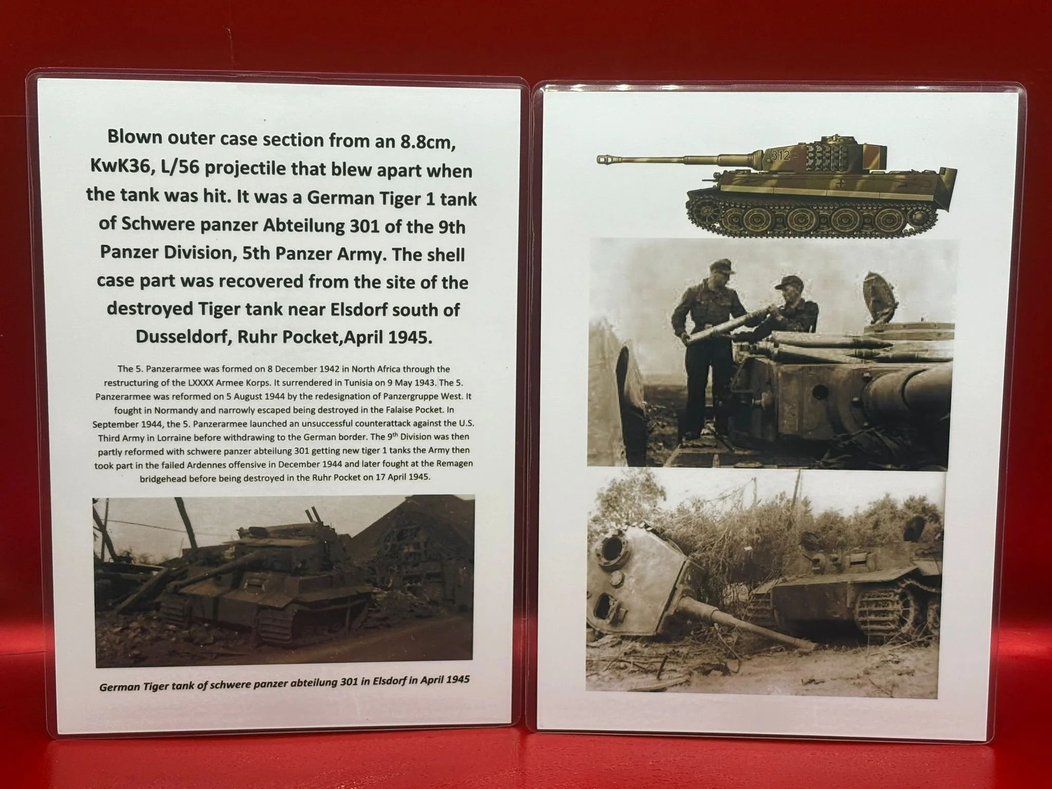 WhatsApp Image 2025-11-18 at 15.10.06.jpeg