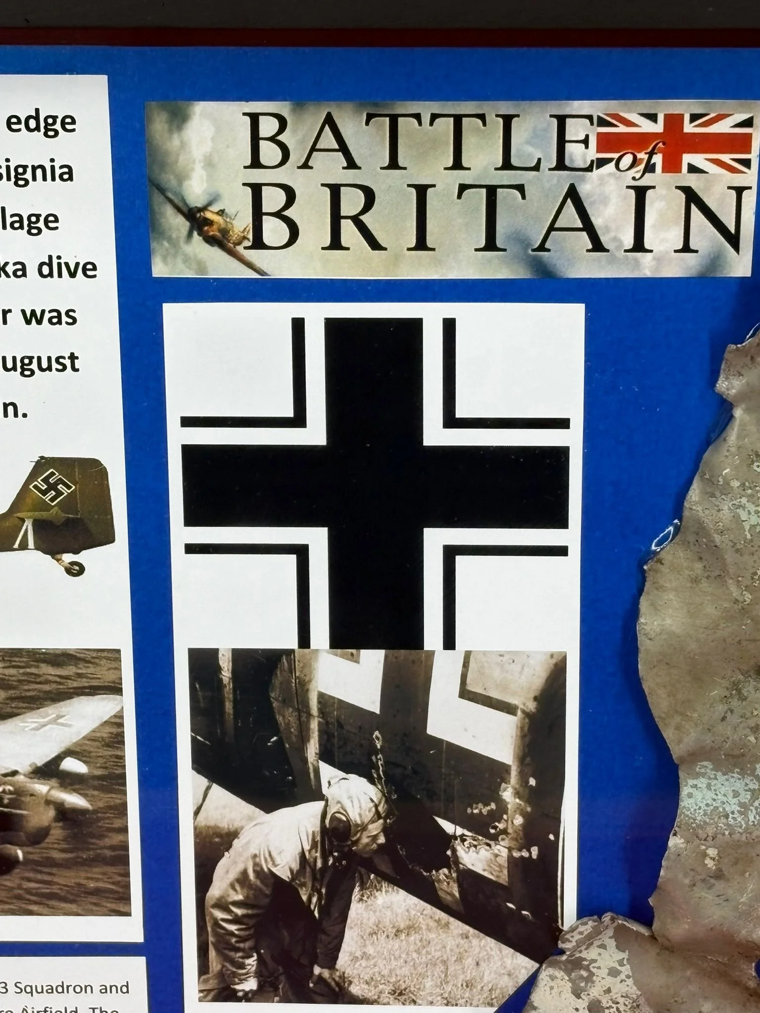 WhatsApp Image 2025-12-01 at 15.40.11 (4).jpeg