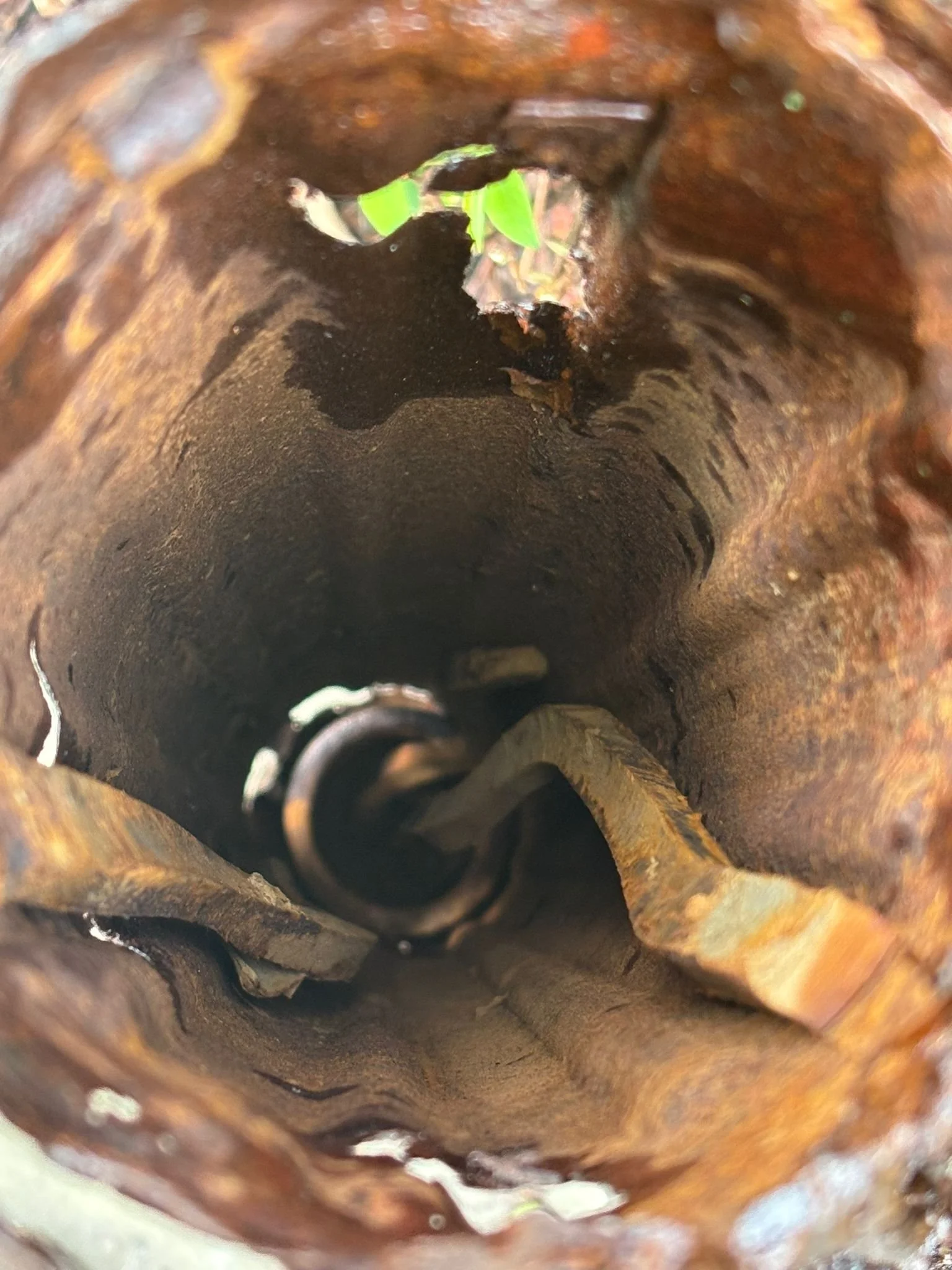 WhatsApp Image 2025-11-18 at 12.29.58 (2).jpeg