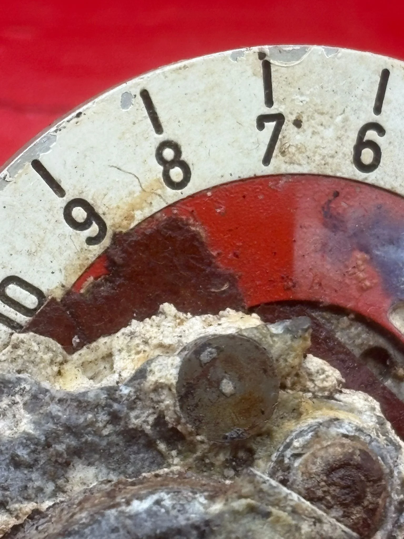 WhatsApp Image 2026-02-13 at 16.21.51 (3).jpeg