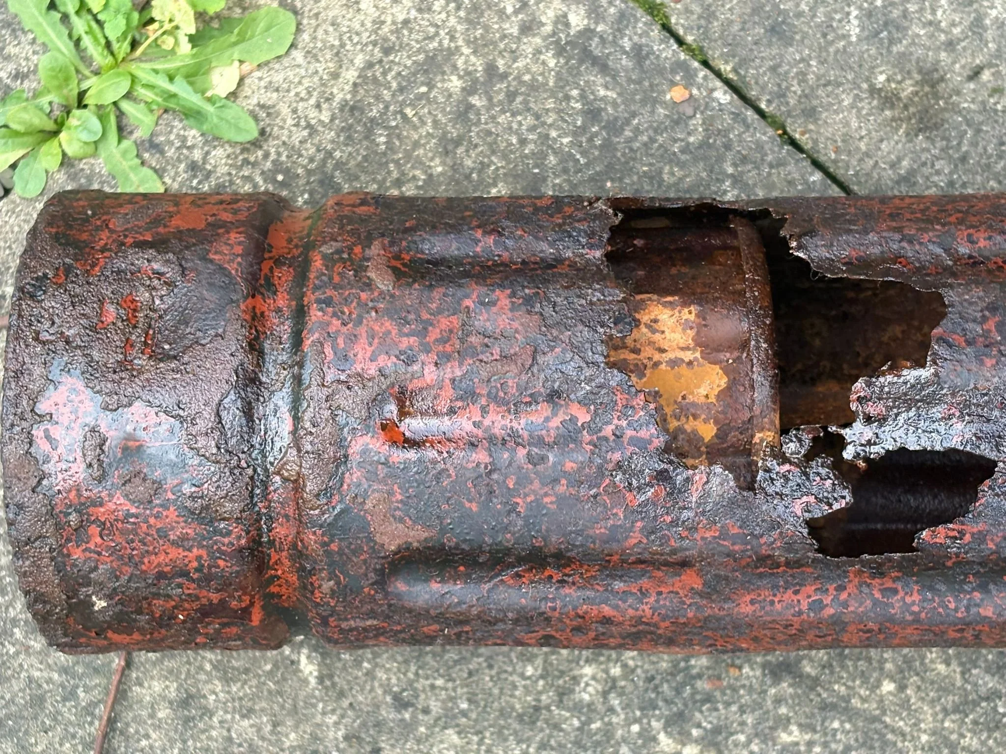 WhatsApp Image 2025-11-18 at 12.29.58 (4).jpeg