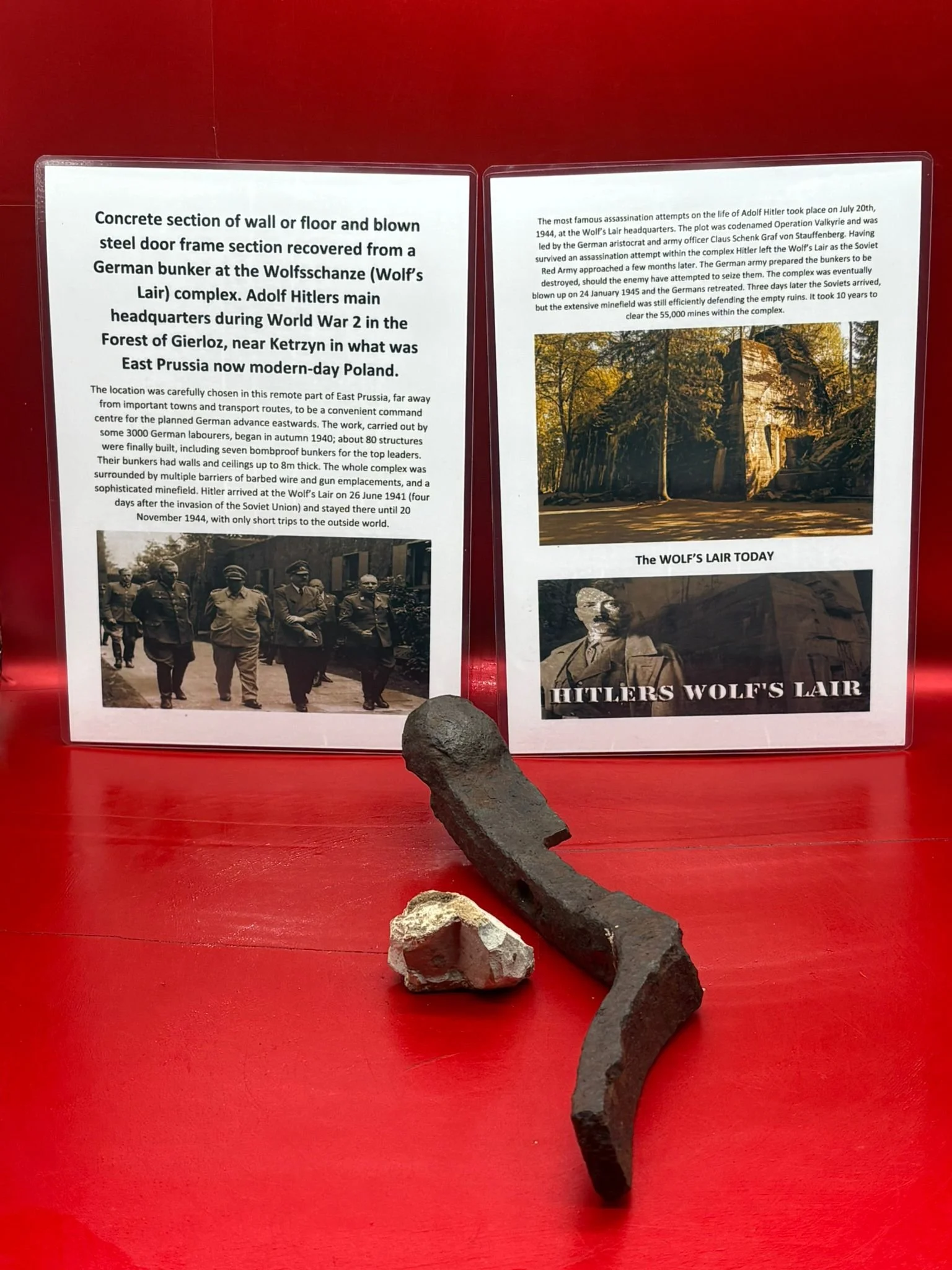 WhatsApp Image 2025-11-20 at 18.50.11.jpeg