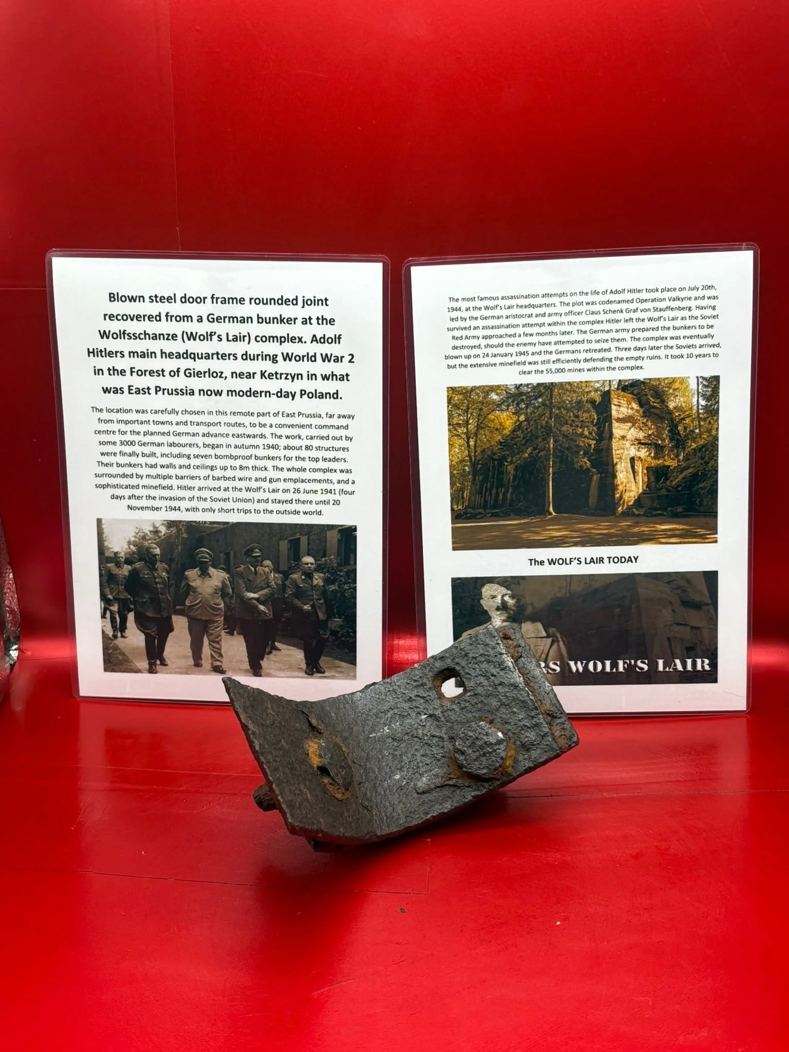 WhatsApp Image 2025-11-20 at 18.49.35.jpeg