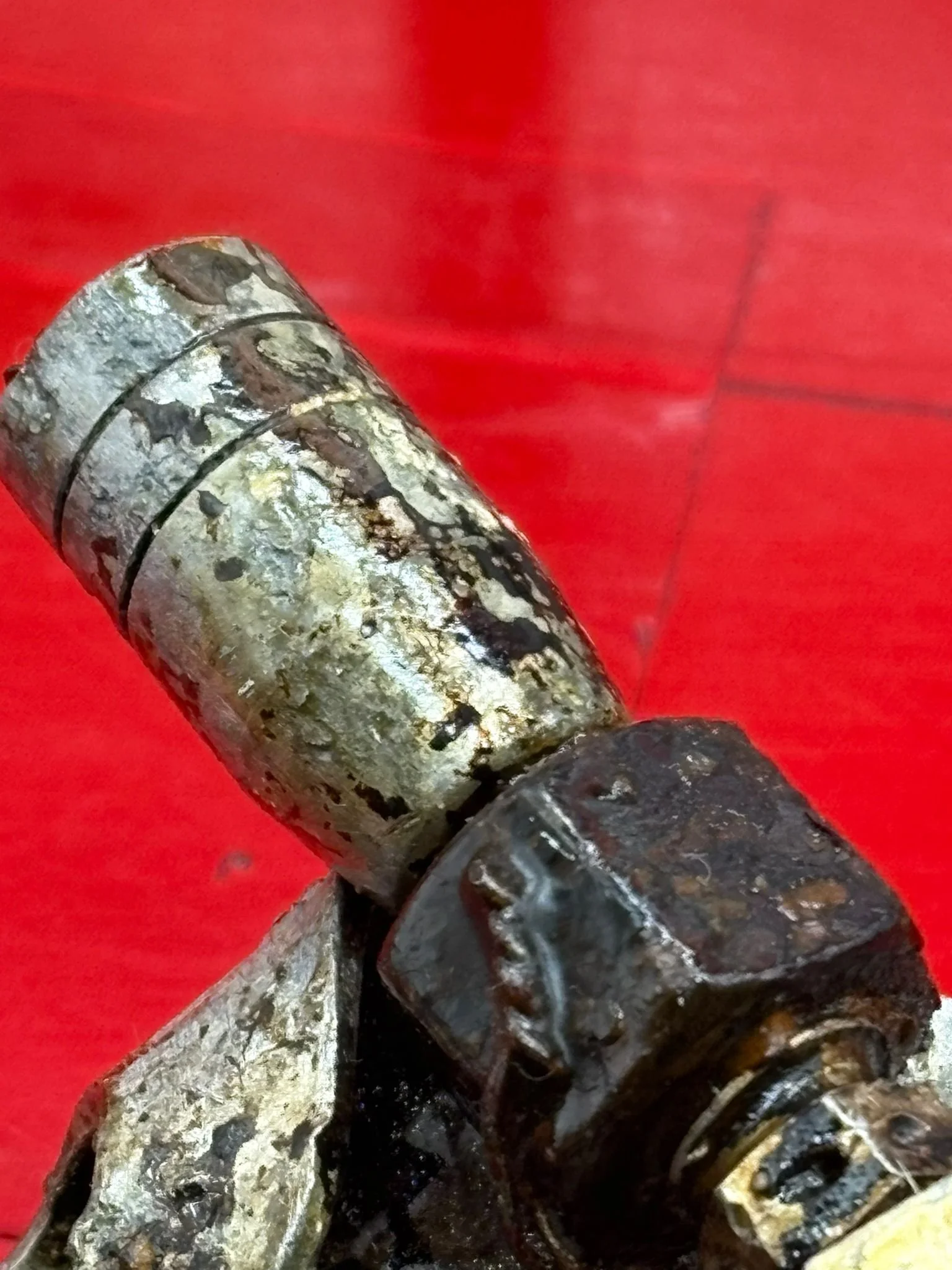 WhatsApp Image 2026-02-10 at 12.08.39 (2).jpeg