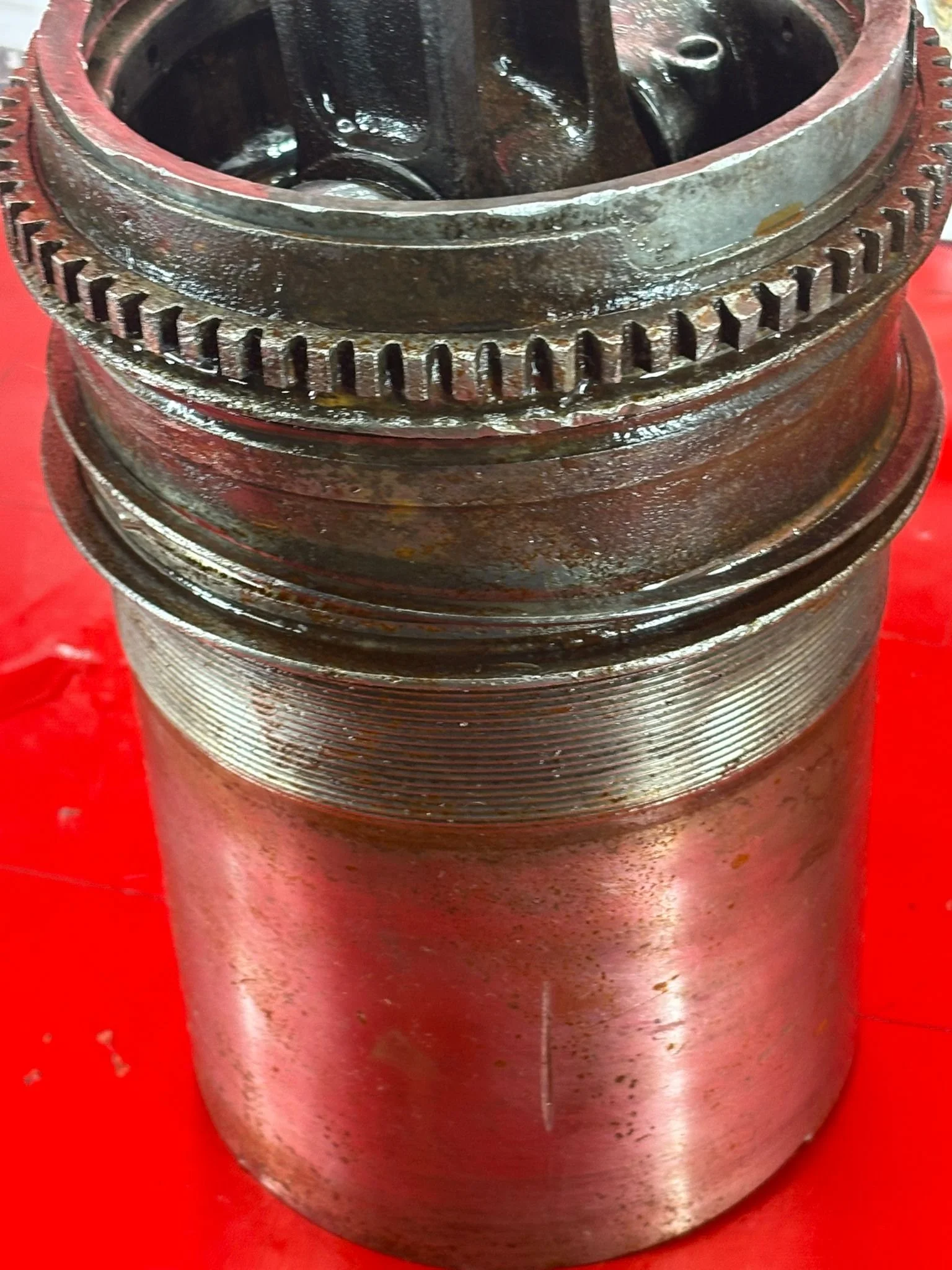 WhatsApp Image 2026-02-10 at 11.55.19 (2).jpeg