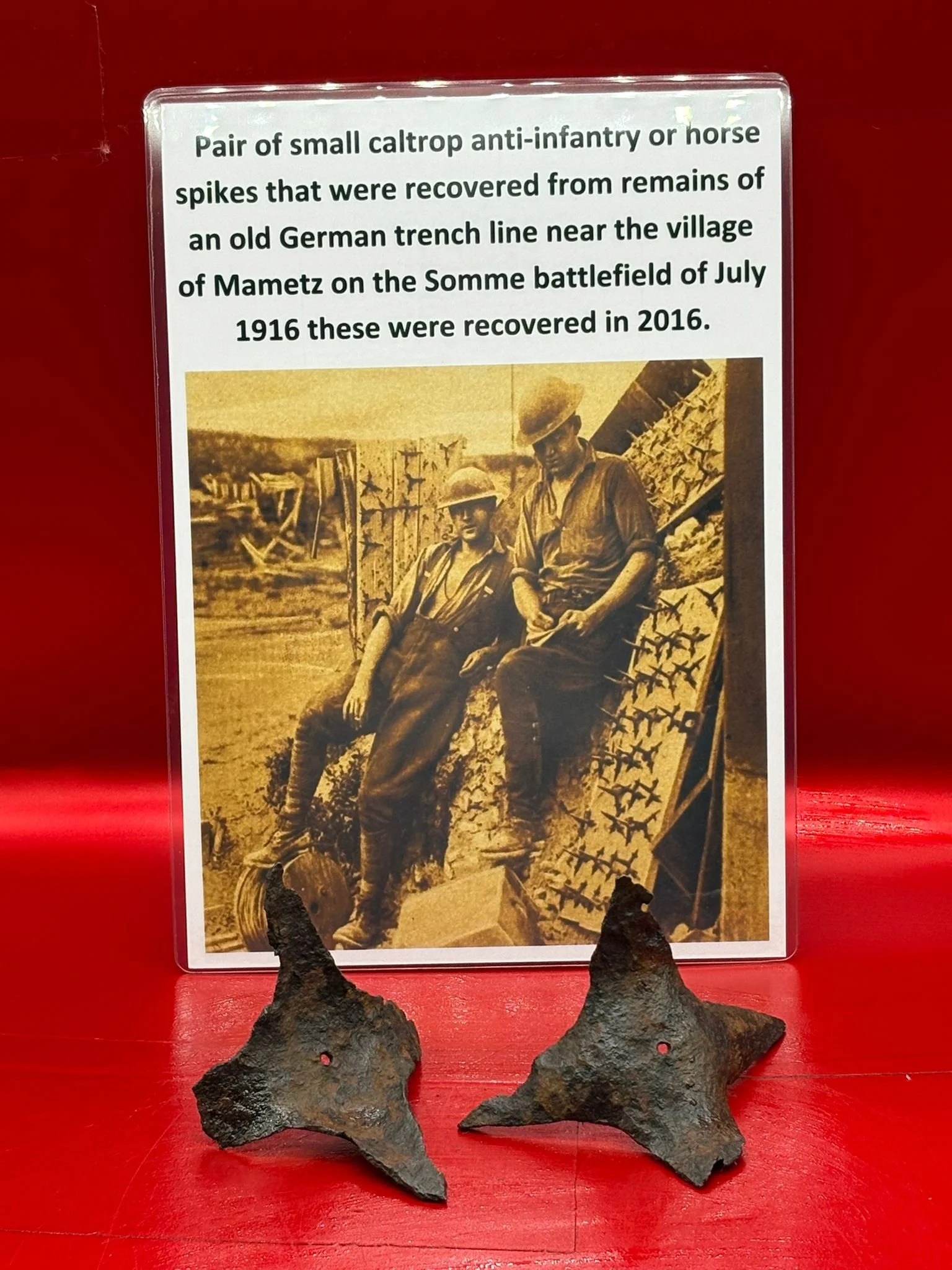 WhatsApp Image 2025-11-12 at 13.14.19.jpeg