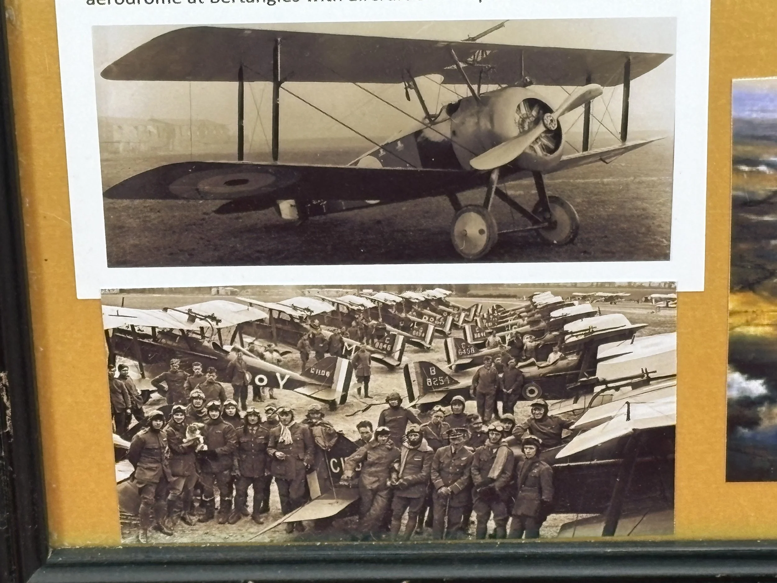 191.JPG