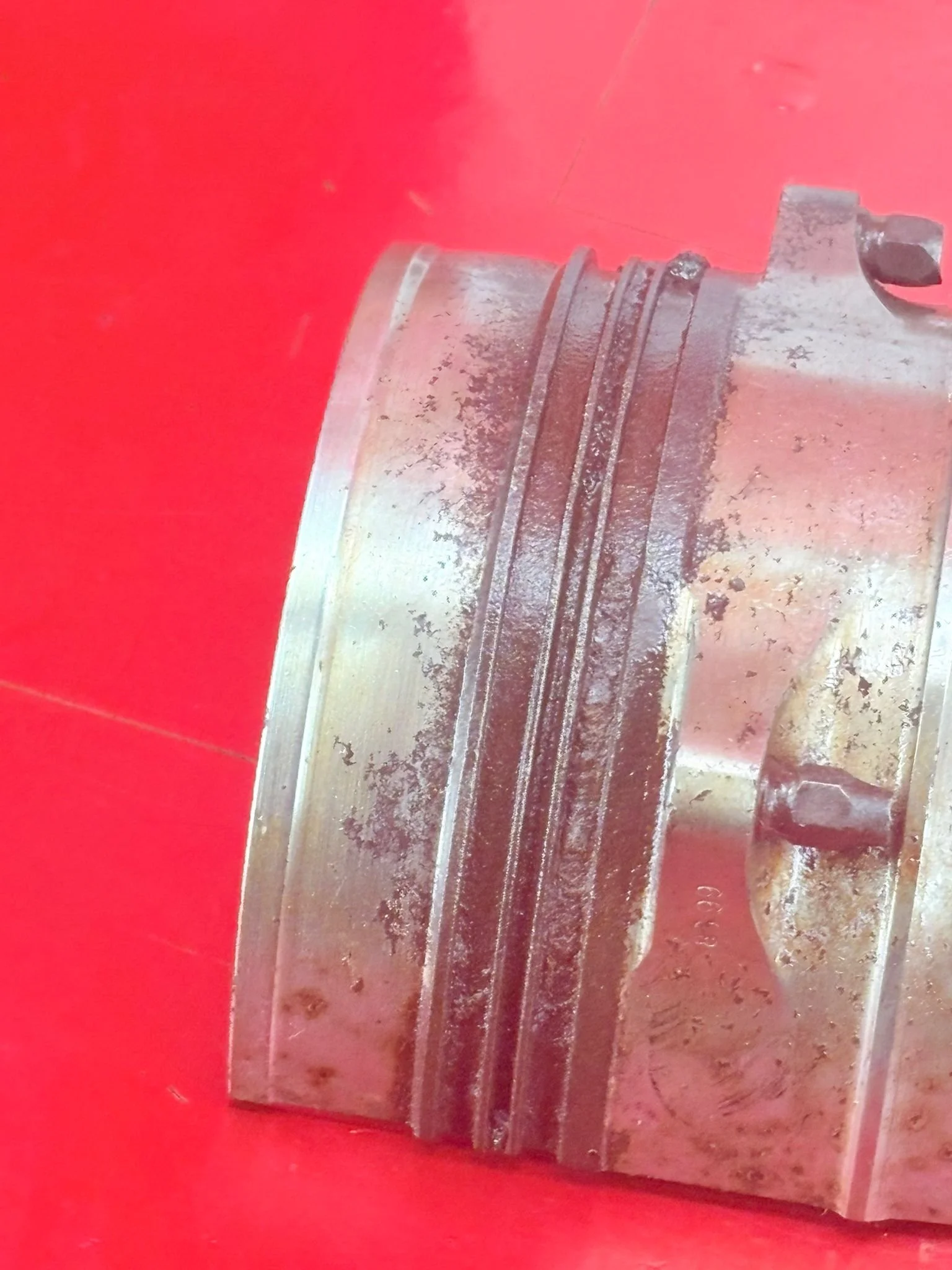 WhatsApp Image 2025-12-08 at 16.52.57.jpeg