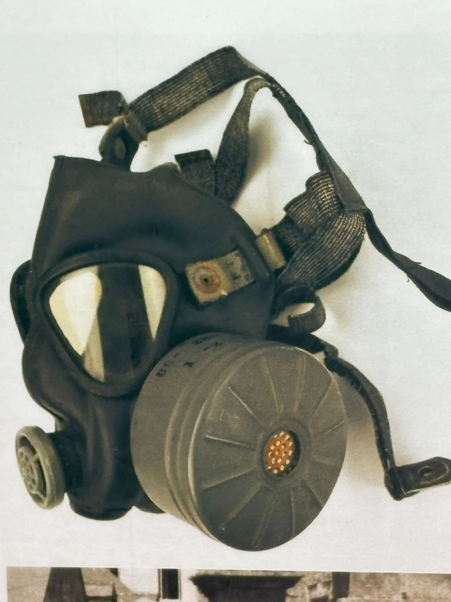 WhatsApp Image 2025-10-21 at 12.17.33.jpeg