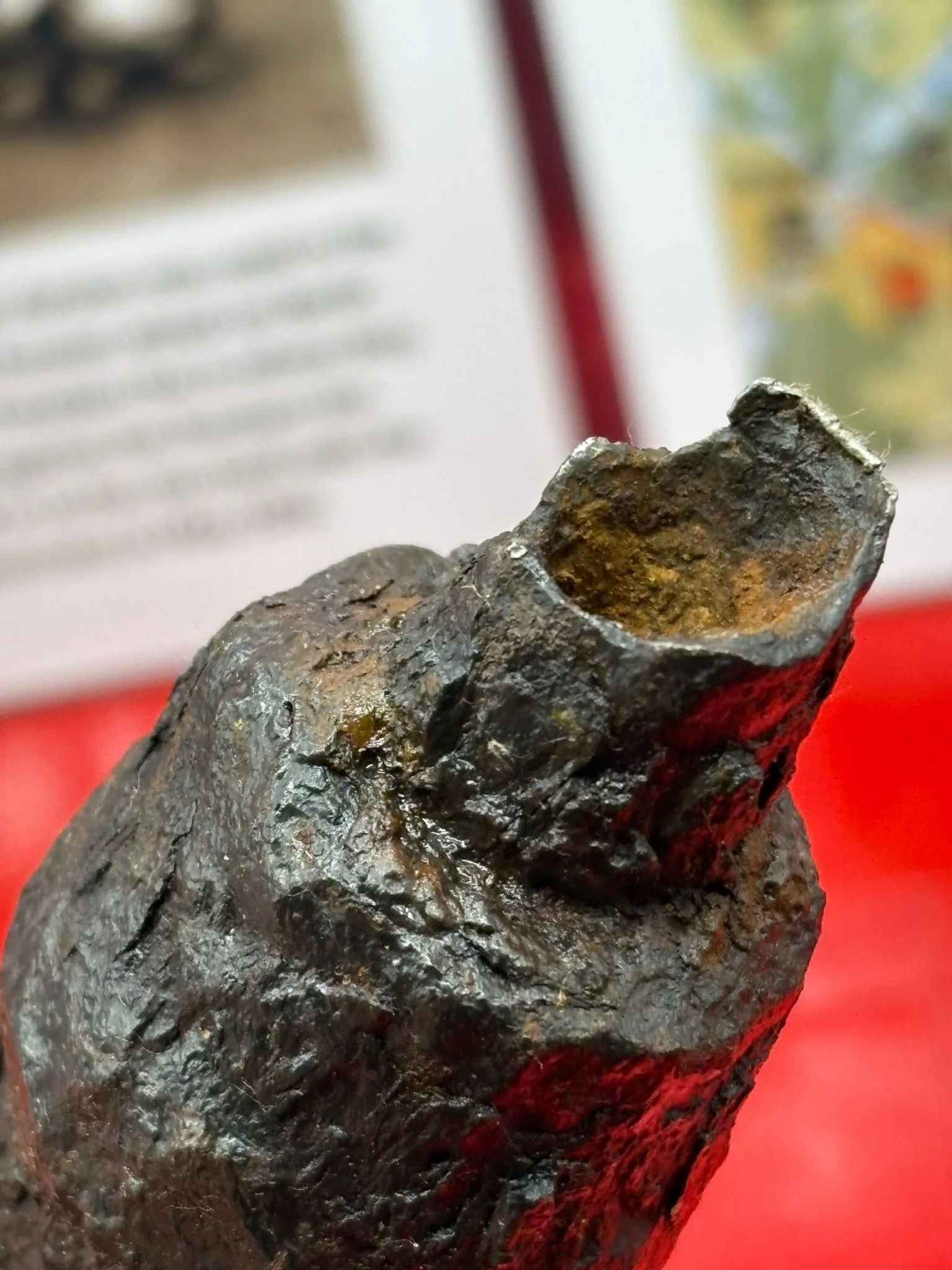 WhatsApp Image 2025-10-22 at 18.31.46 (4).jpeg