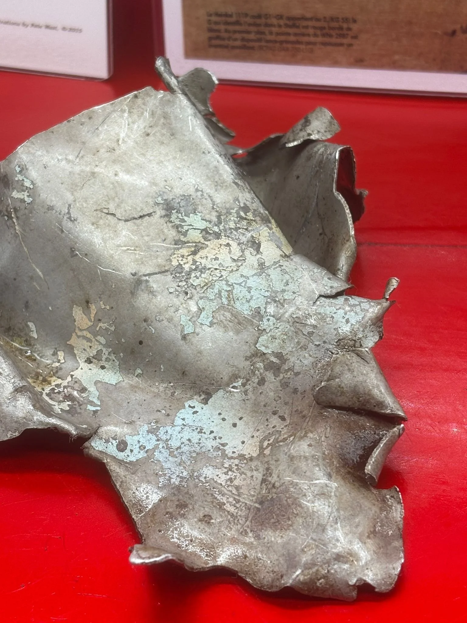 WhatsApp Image 2026-02-13 at 16.24.50 (1).jpeg