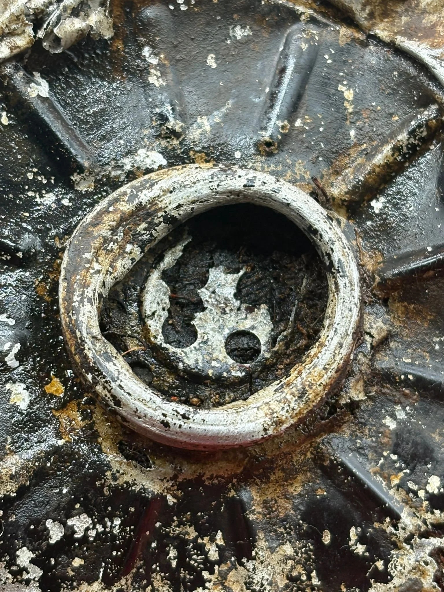 WhatsApp Image 2025-10-21 at 12.22.34 (3).jpeg