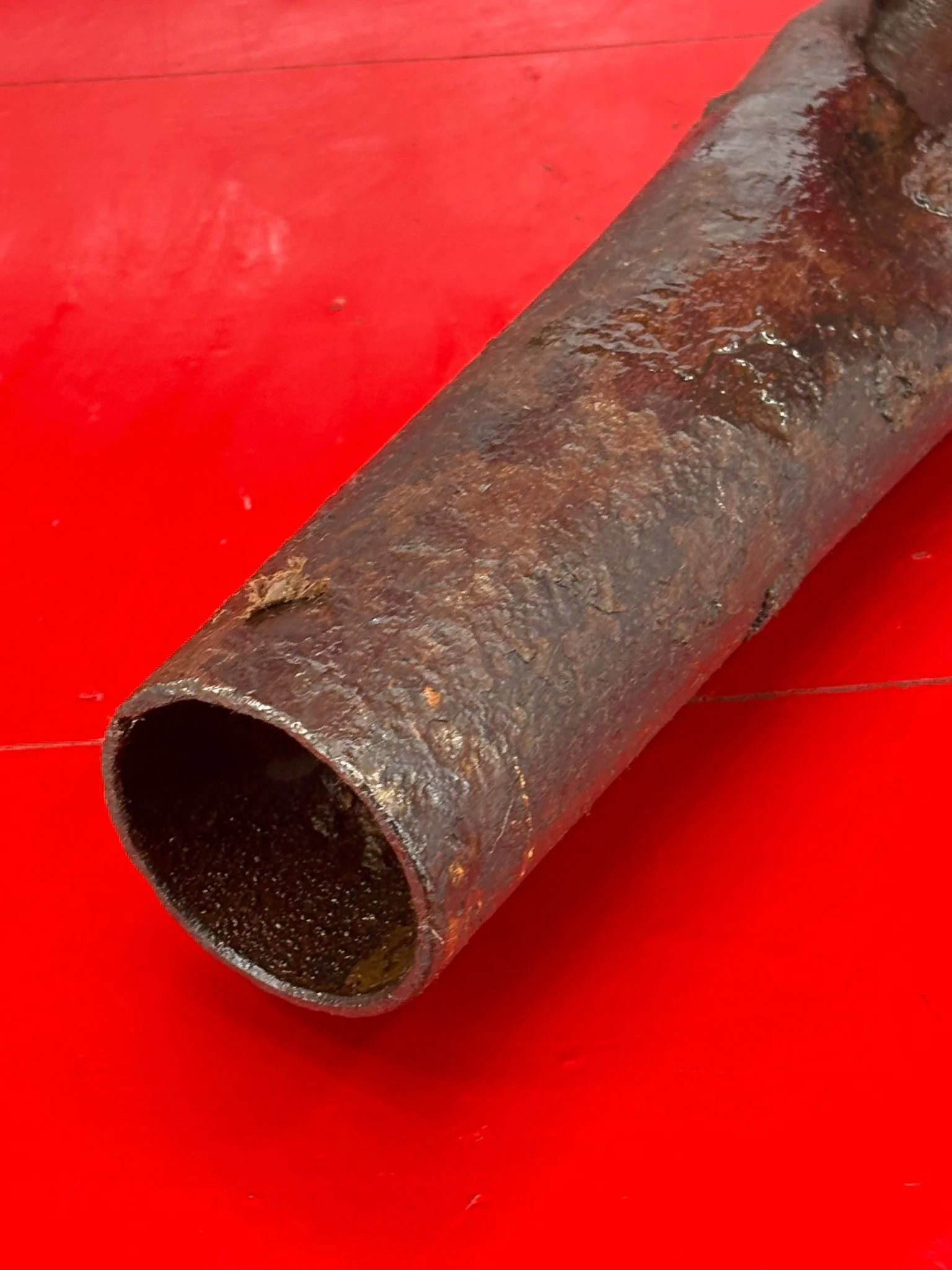 WhatsApp Image 2025-10-27 at 15.24.22.jpeg