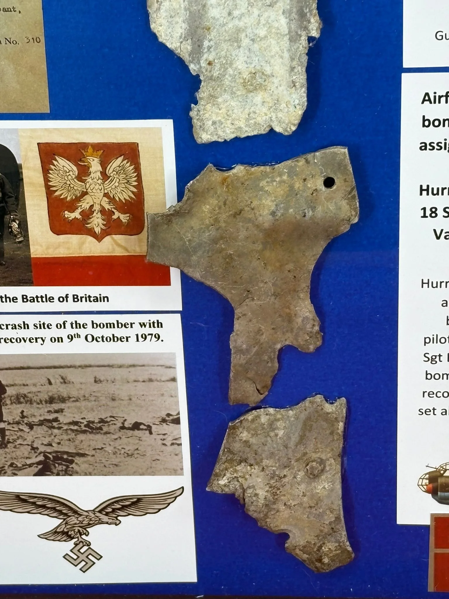 WhatsApp Image 2026-03-11 at 13.04.39 (5).jpeg