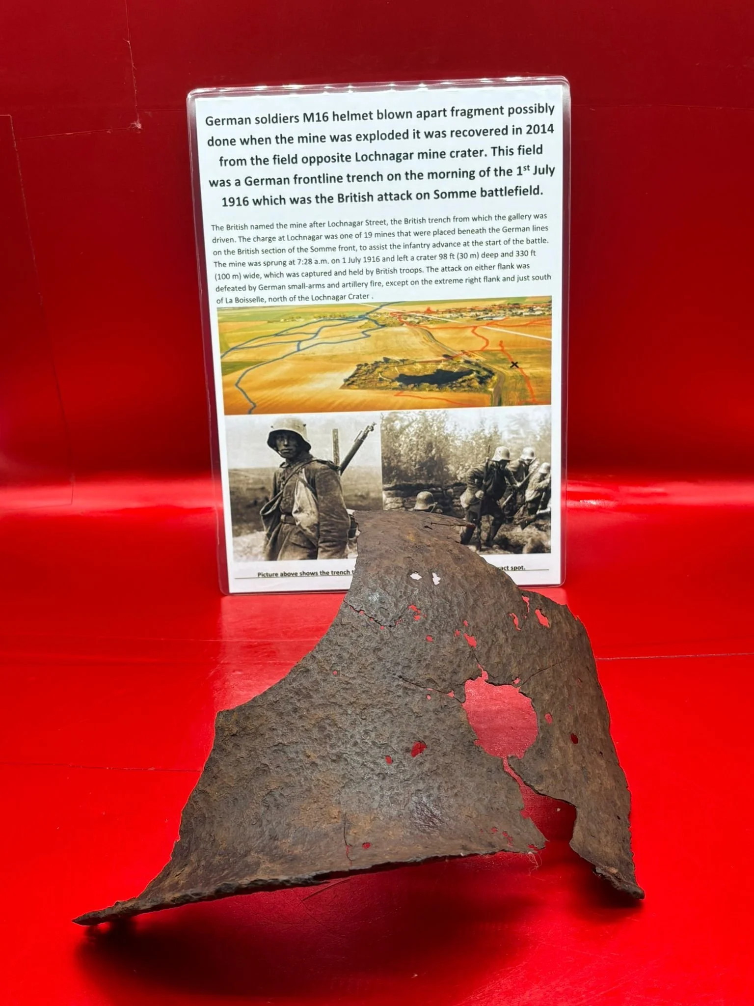 WhatsApp Image 2025-11-12 at 15.03.21.jpeg