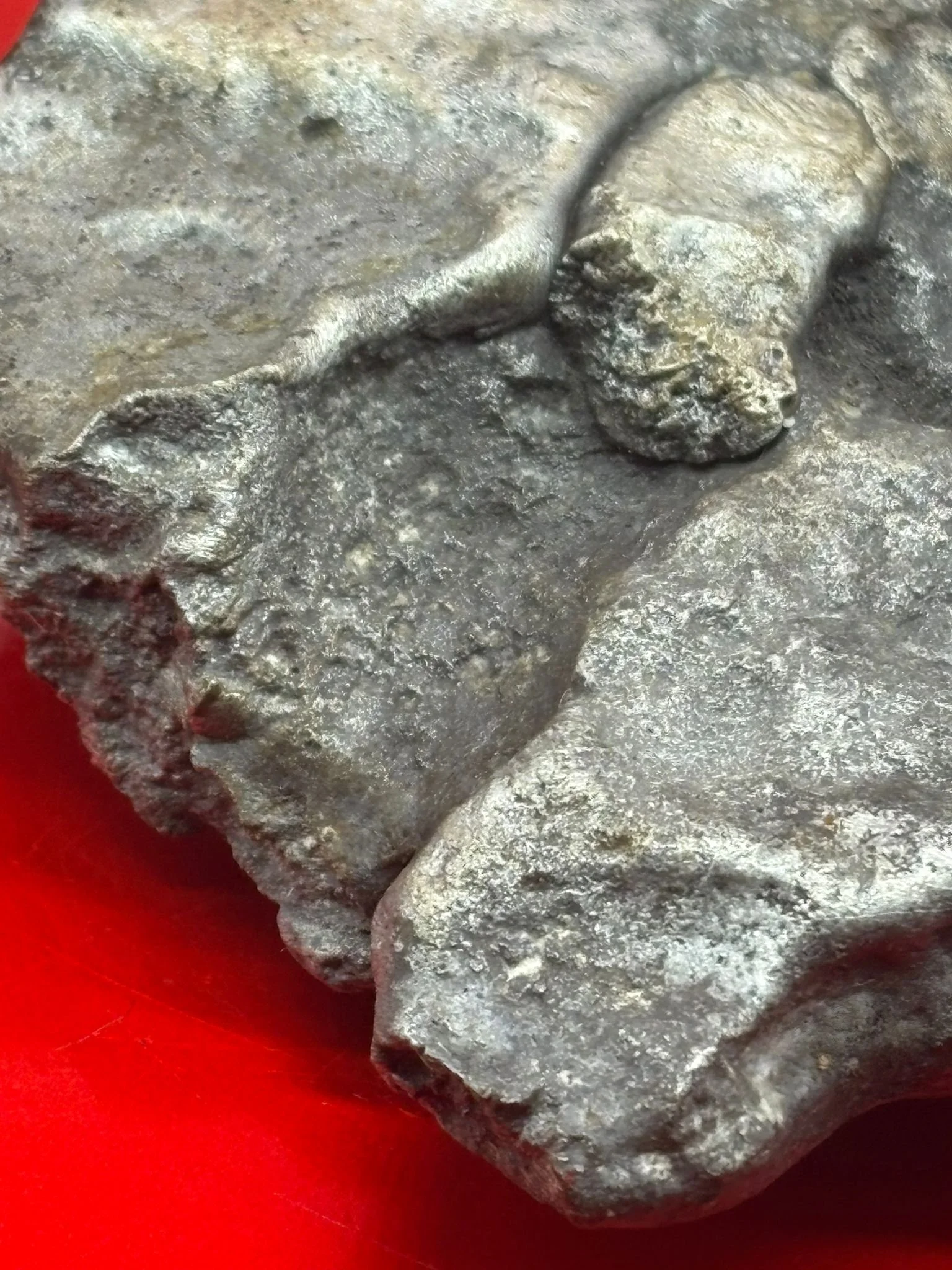 WhatsApp Image 2025-12-09 at 14.09.20 (2).jpeg