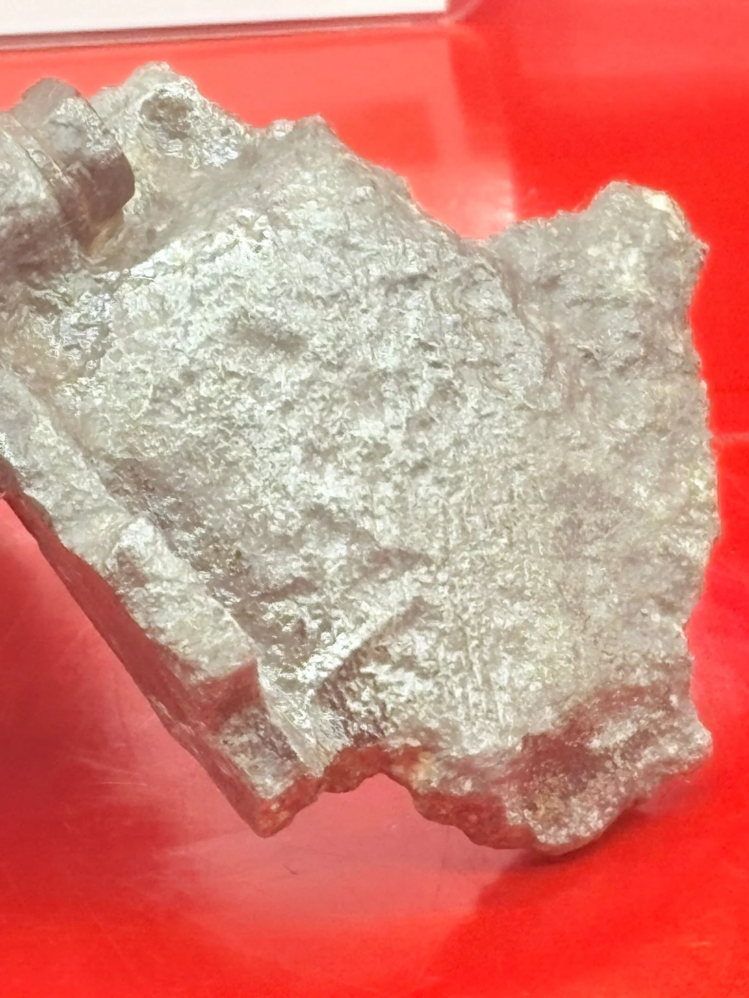 WhatsApp Image 2025-12-08 at 16.42.03.jpeg