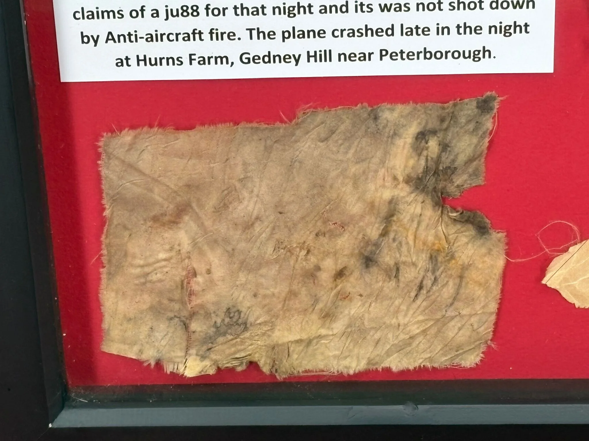 WhatsApp Image 2025-12-01 at 15.40.44 (3).jpeg