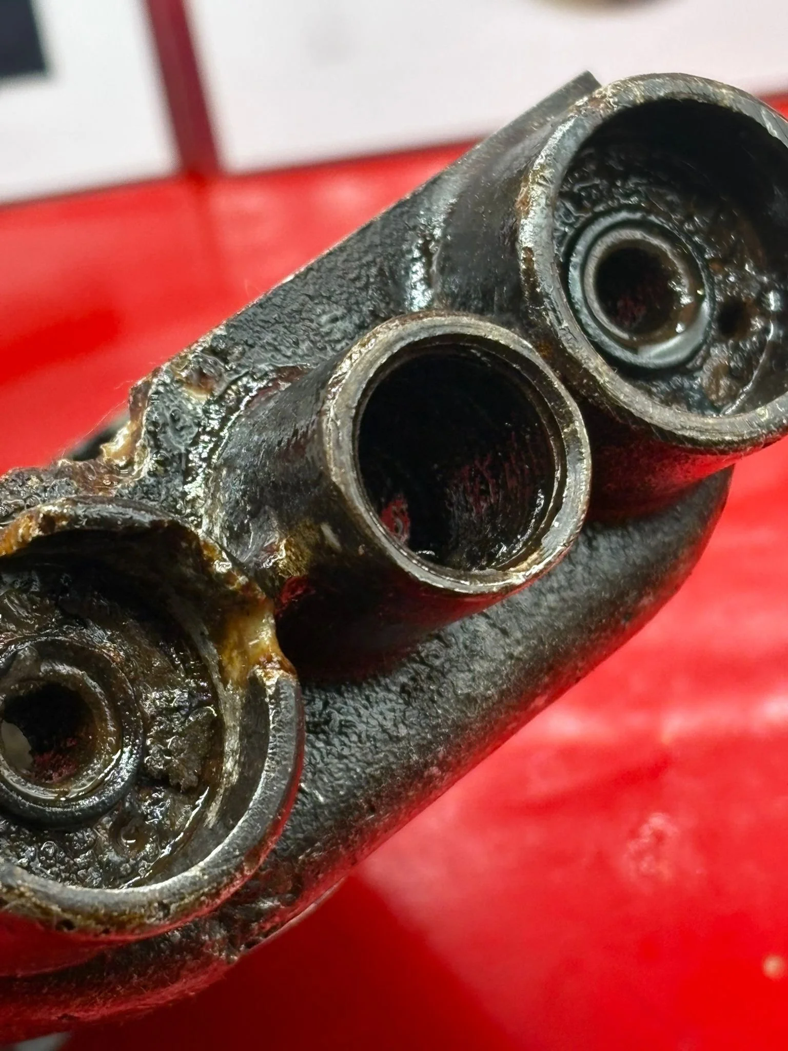 WhatsApp Image 2025-10-21 at 13.56.21.jpeg