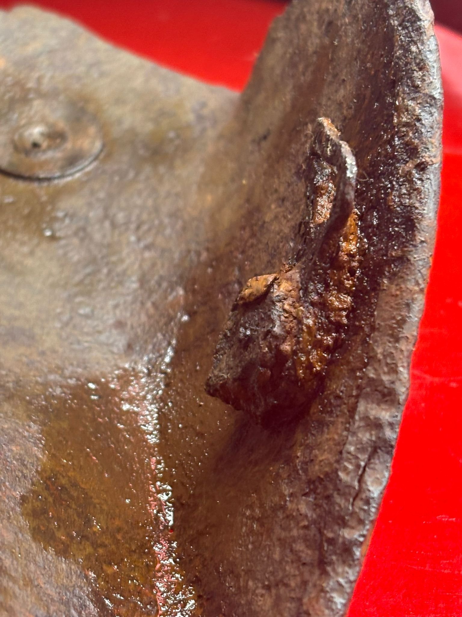 WhatsApp Image 2025-11-12 at 15.04.06 (2).jpeg