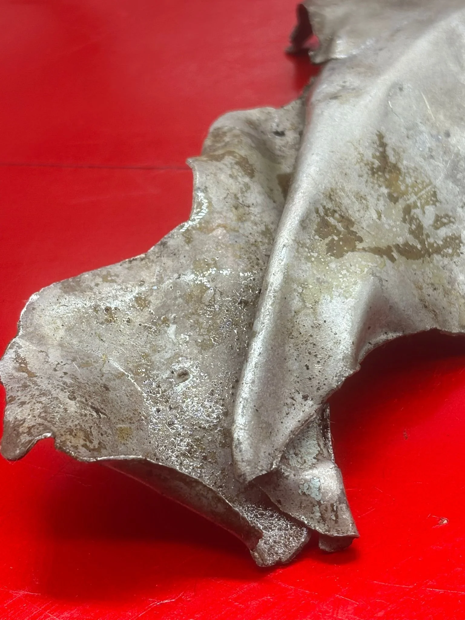 WhatsApp Image 2026-02-13 at 16.24.51 (3).jpeg