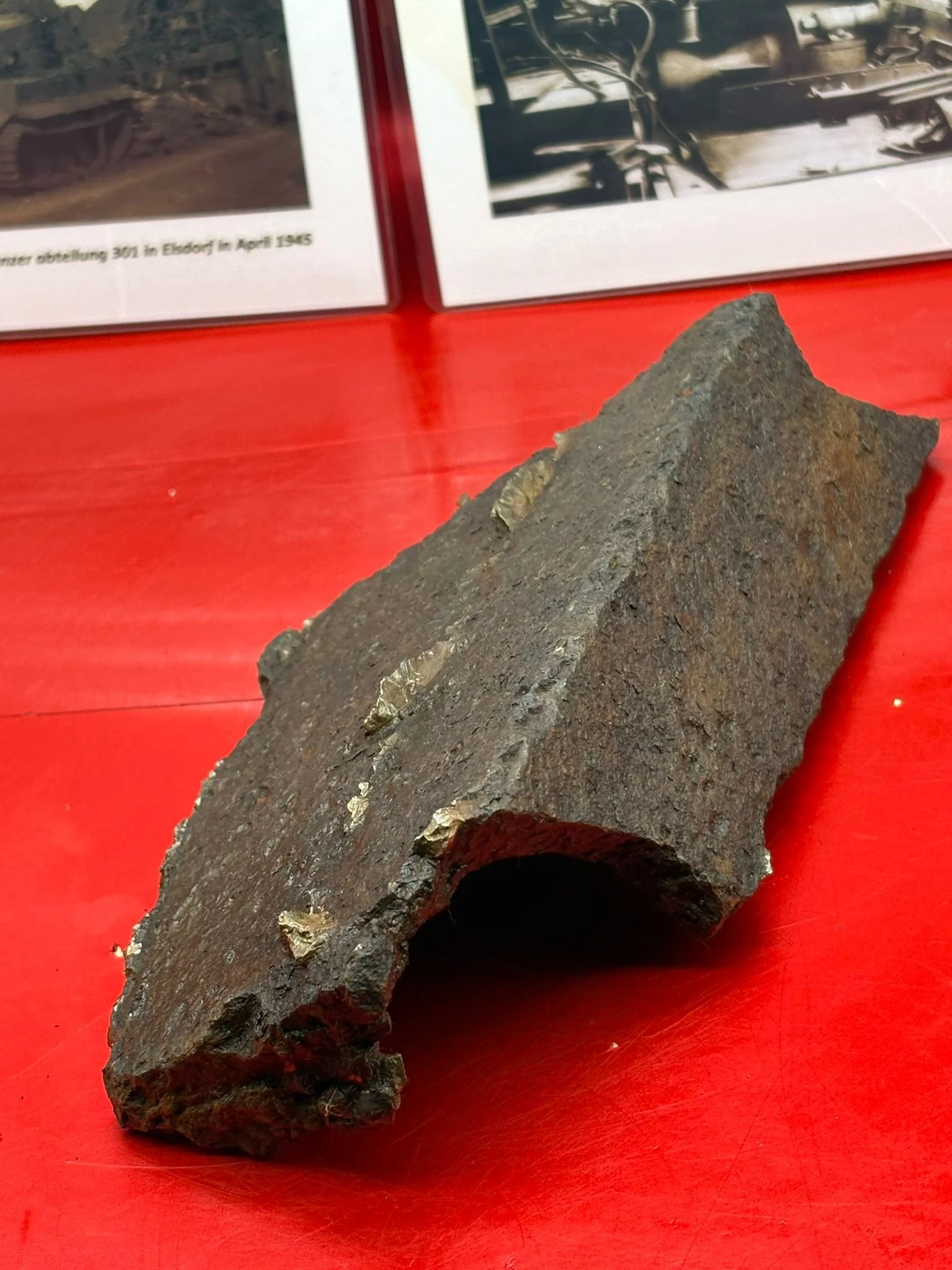 WhatsApp Image 2025-11-24 at 16.54.46 (2).jpeg