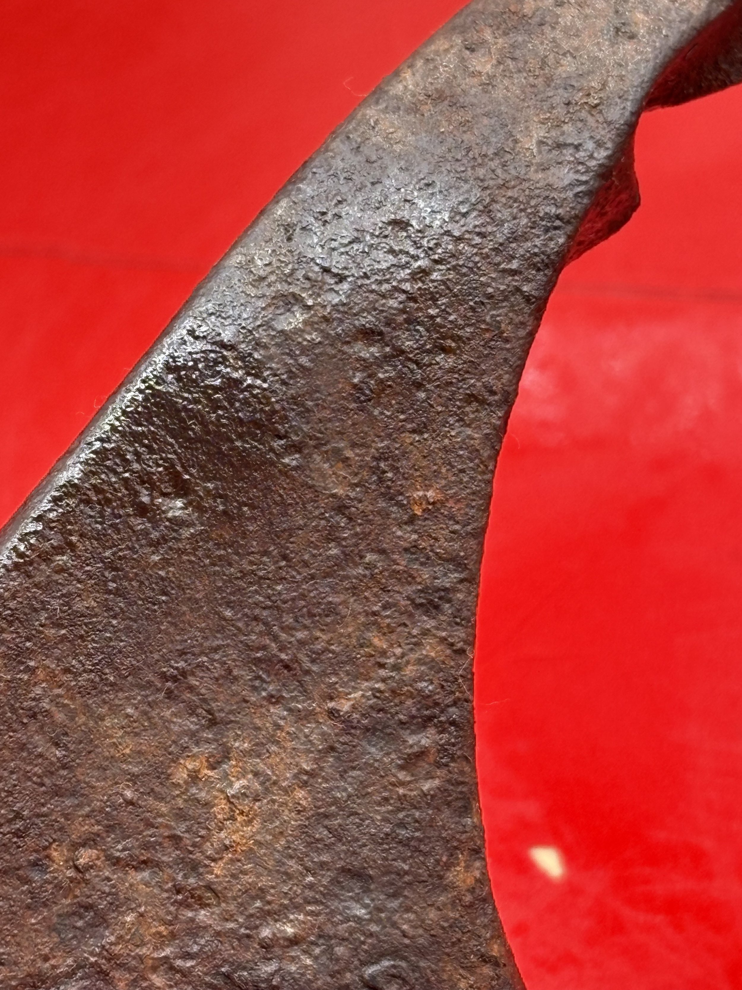 551.JPG