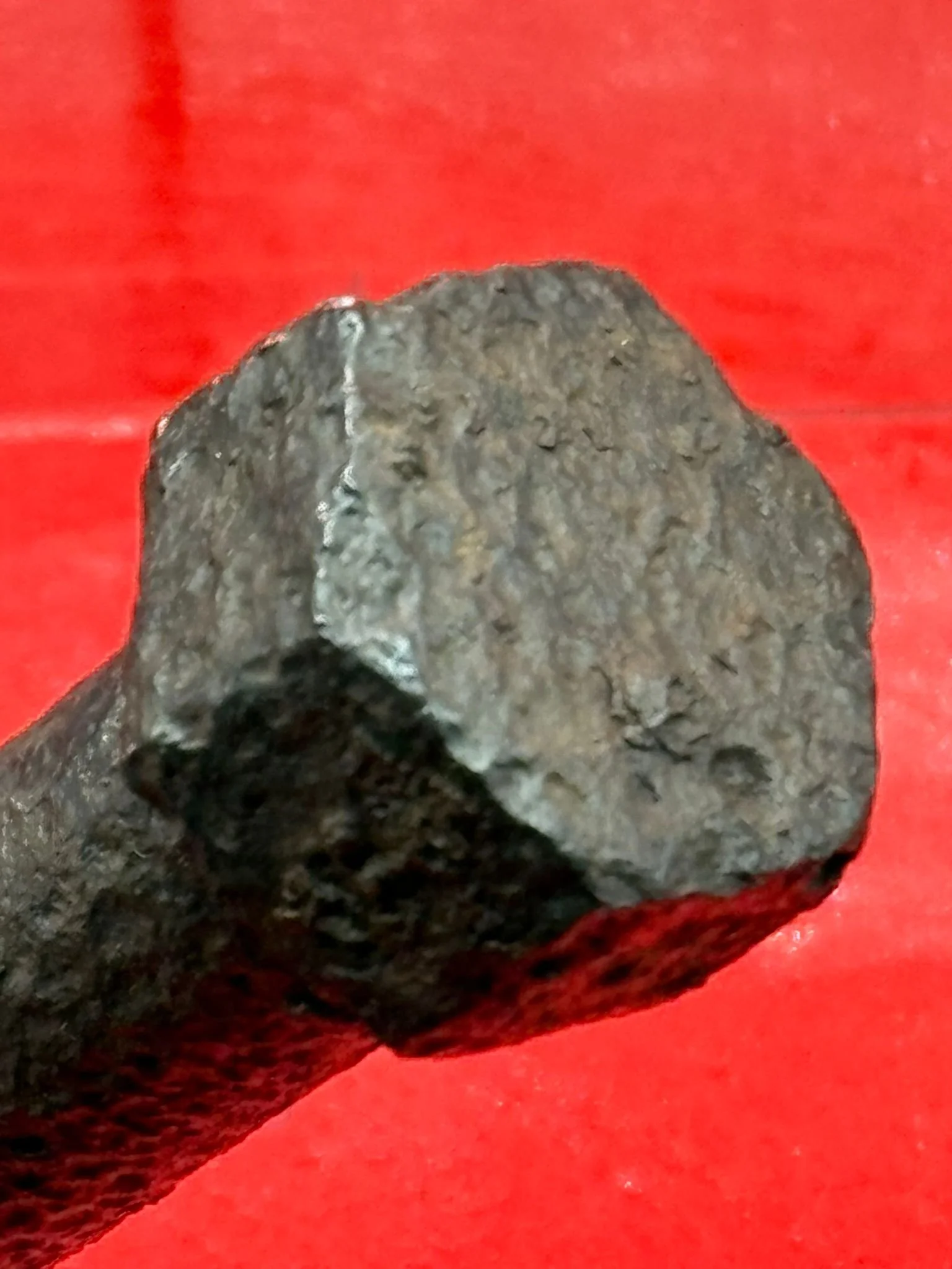 WhatsApp Image 2025-11-12 at 13.11.23.jpeg