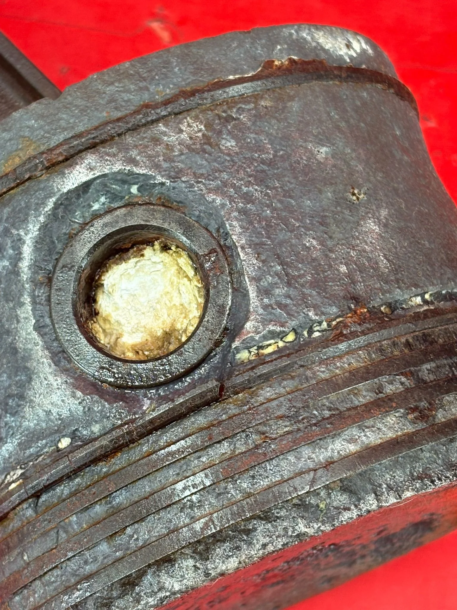 WhatsApp Image 2026-03-12 at 15.29.56.jpeg