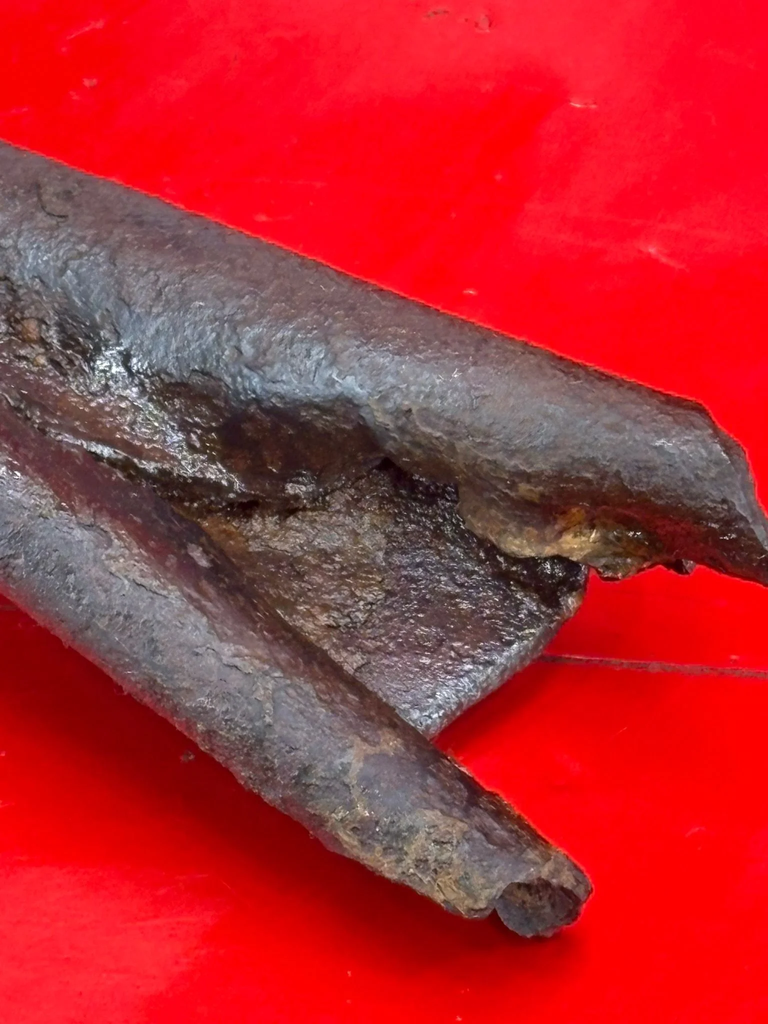 WhatsApp Image 2025-10-27 at 15.24.23 (2).jpeg