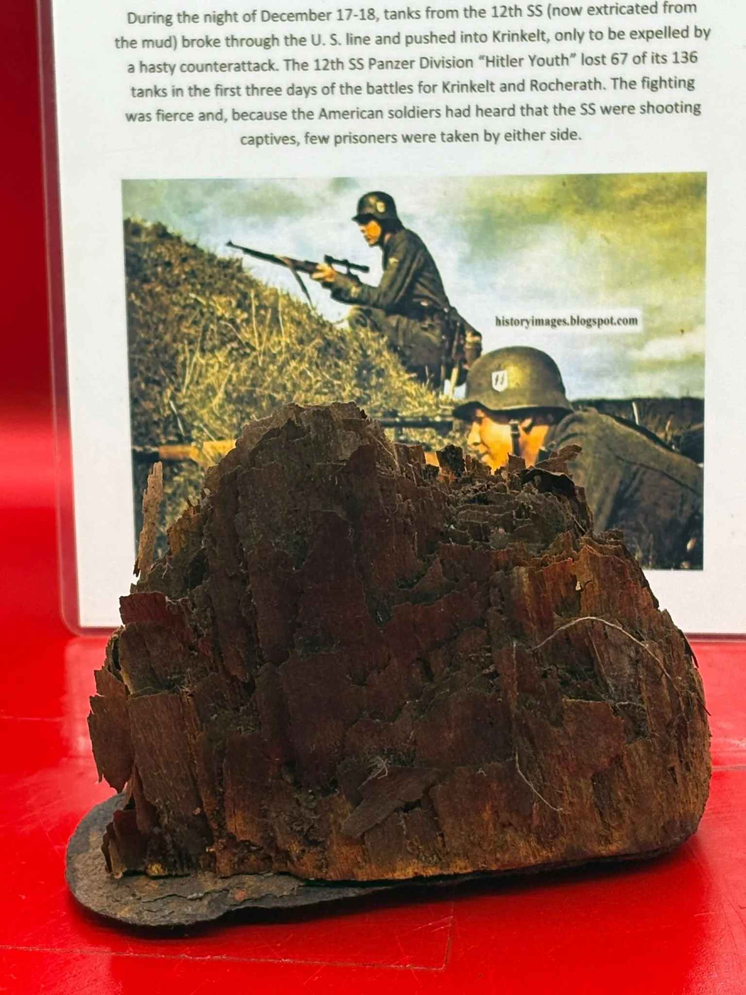 WhatsApp Image 2025-10-24 at 13.38.42 (3).jpeg