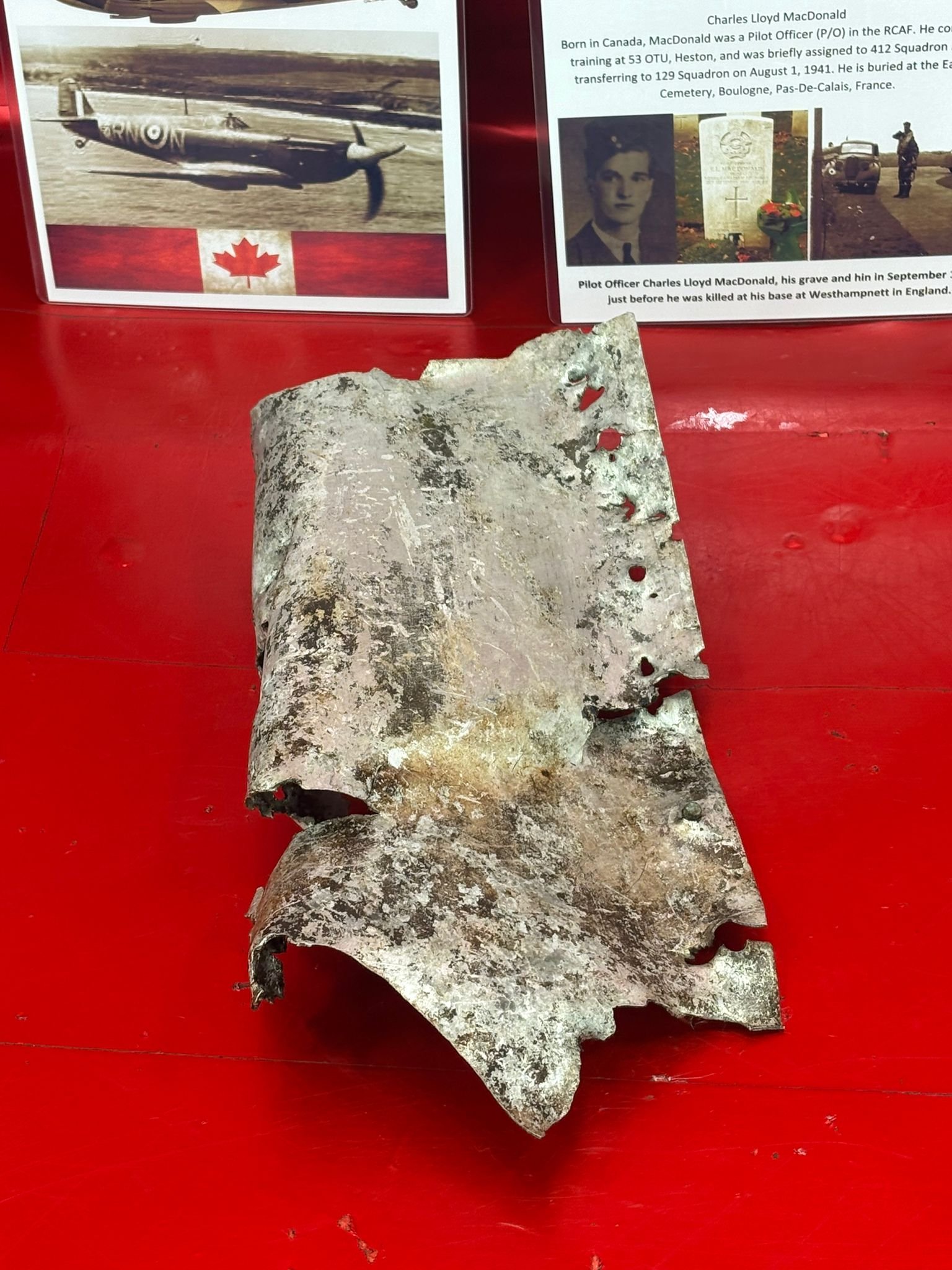 WhatsApp Image 2026-02-10 at 11.58.08.jpeg