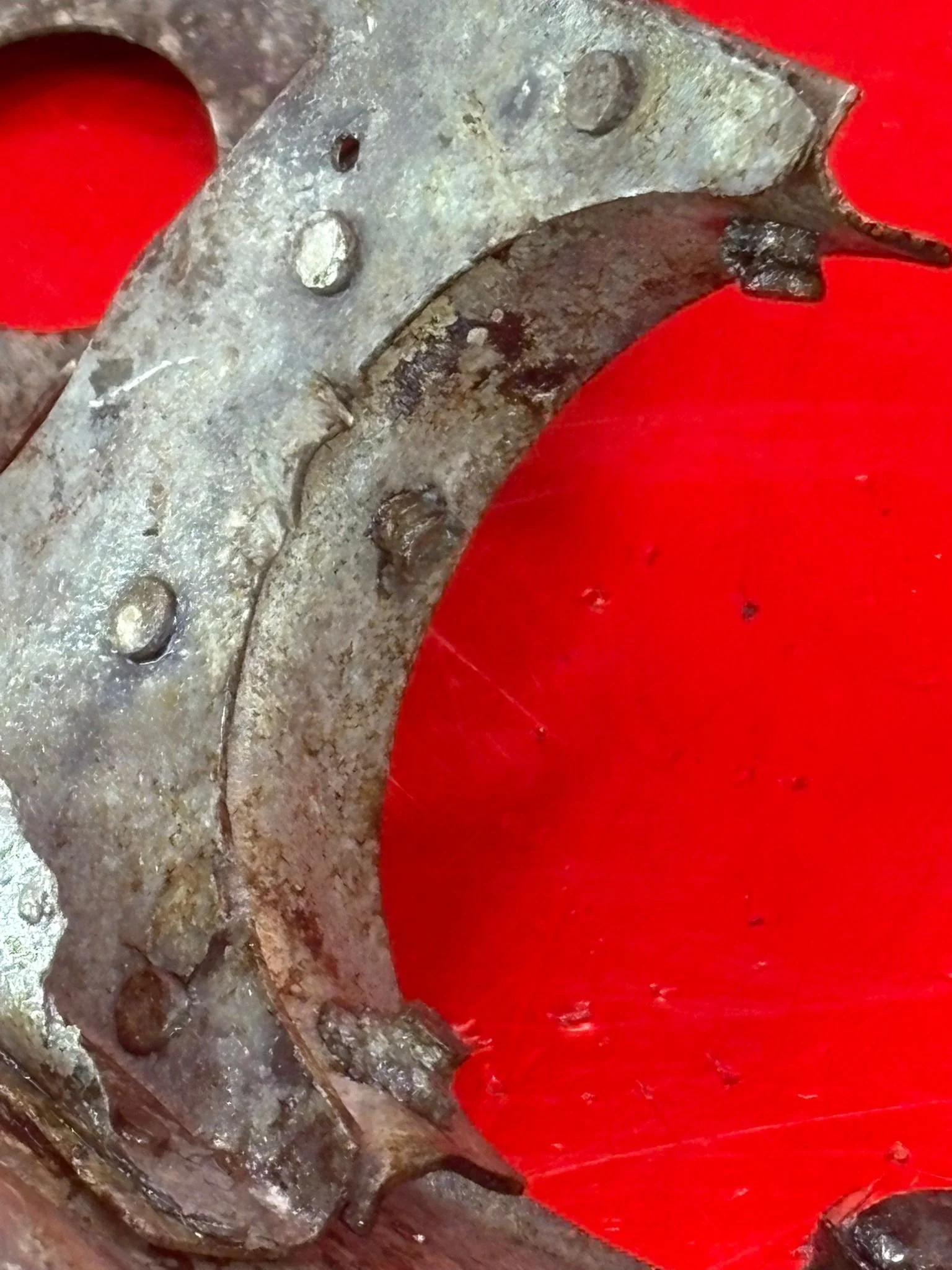 WhatsApp Image 2026-02-10 at 11.57.24 (5).jpeg