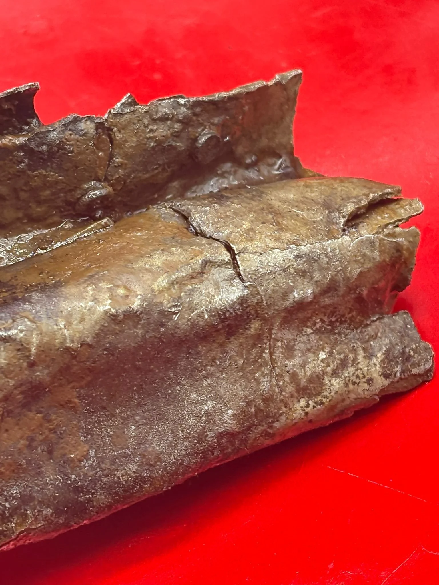 WhatsApp Image 2026-03-12 at 14.23.22 (4).jpeg