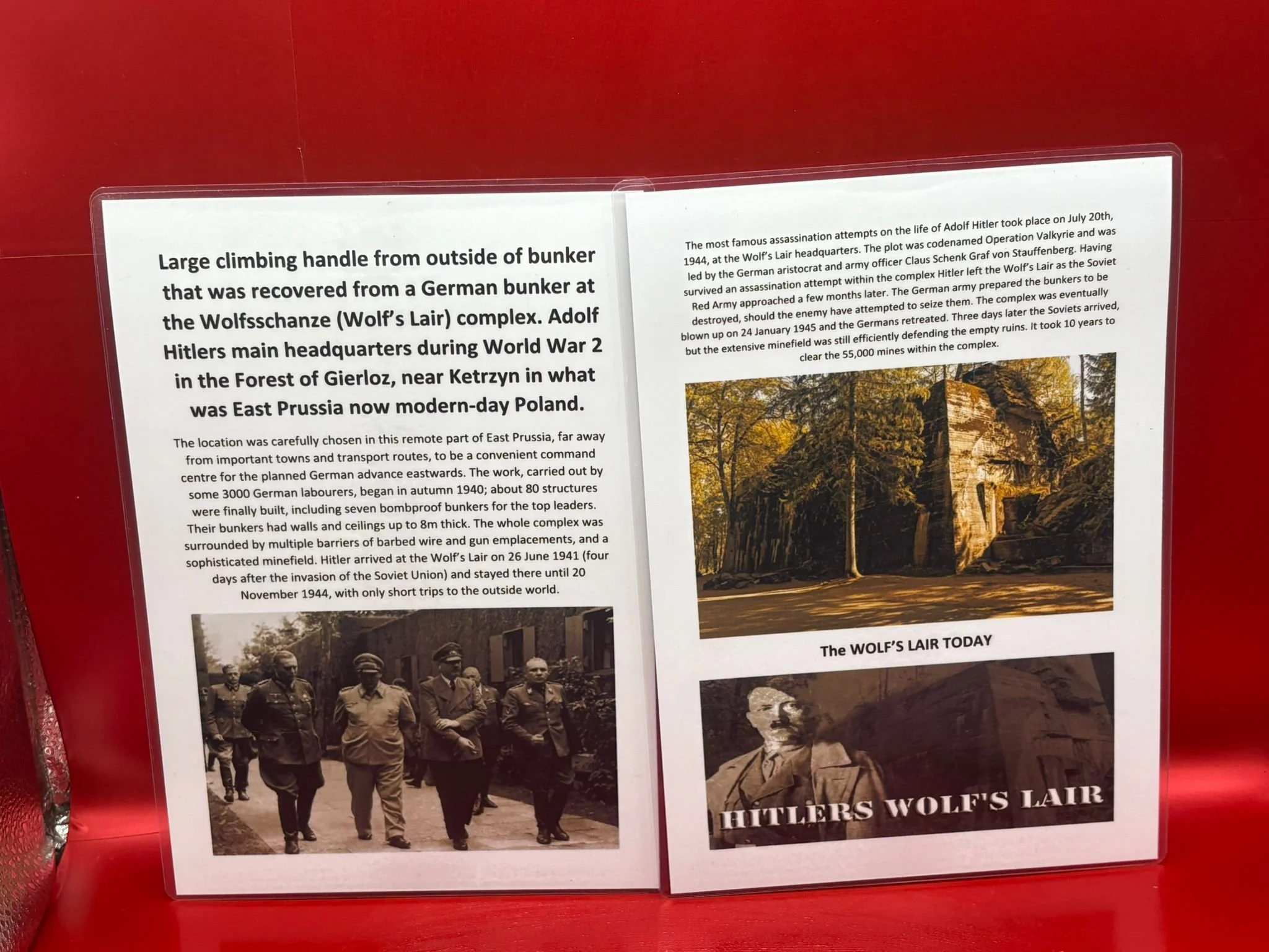 WhatsApp Image 2025-11-20 at 18.33.46.jpeg