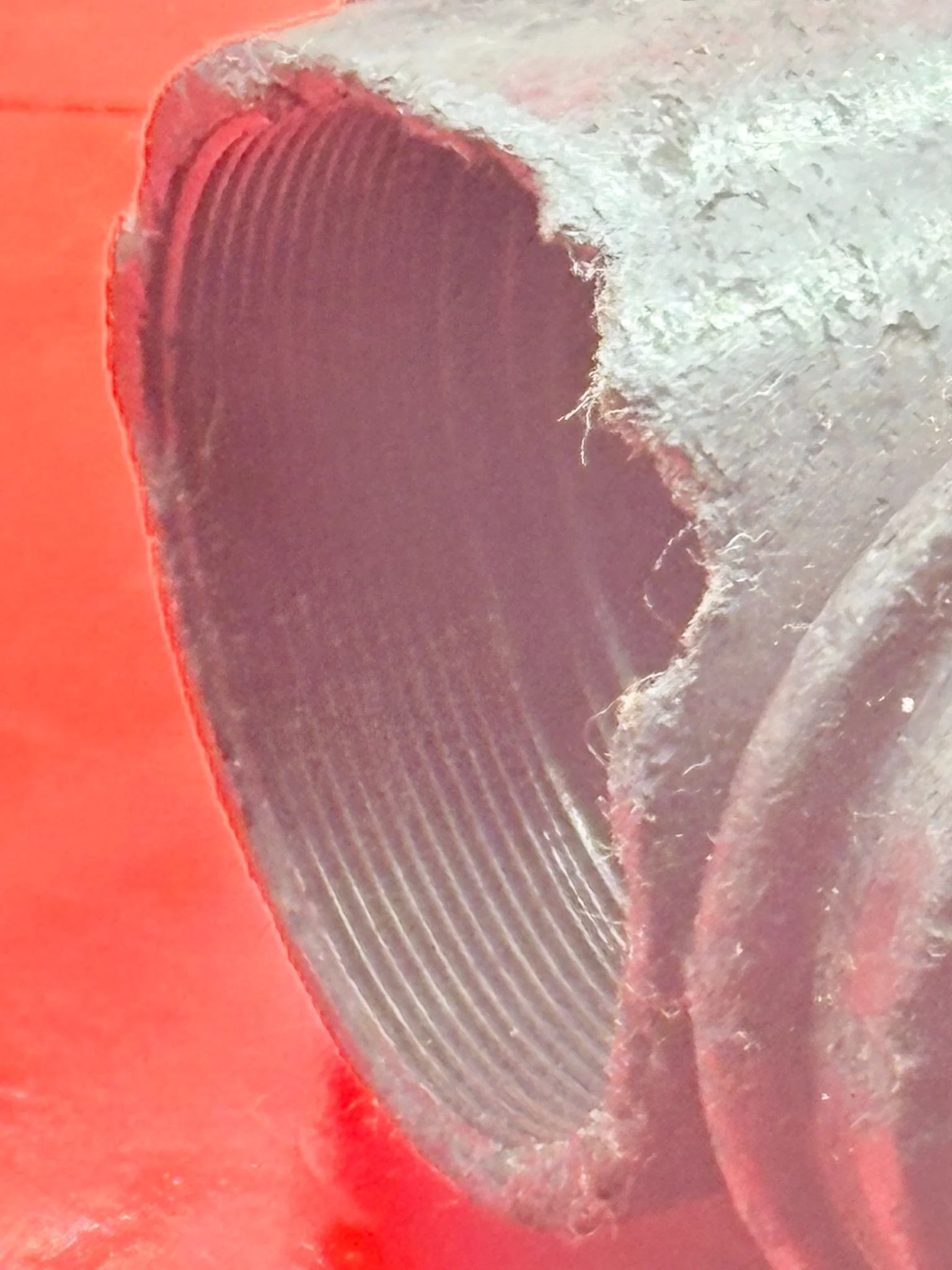 WhatsApp Image 2025-12-08 at 15.40.14.jpeg