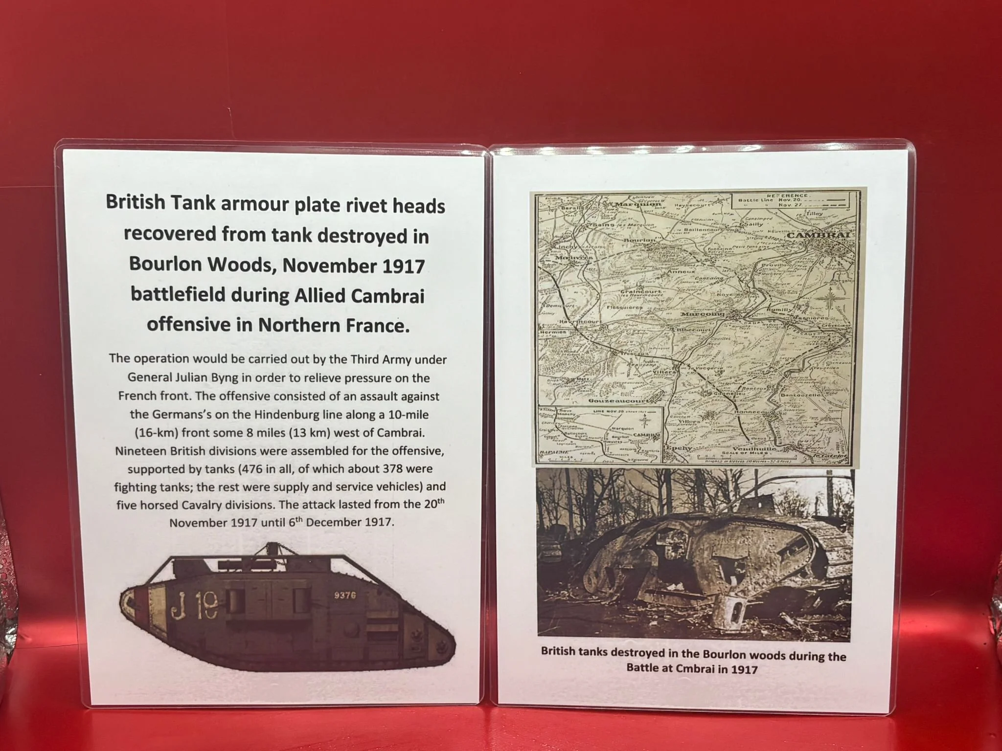 WhatsApp Image 2025-11-11 at 10.27.15.jpeg