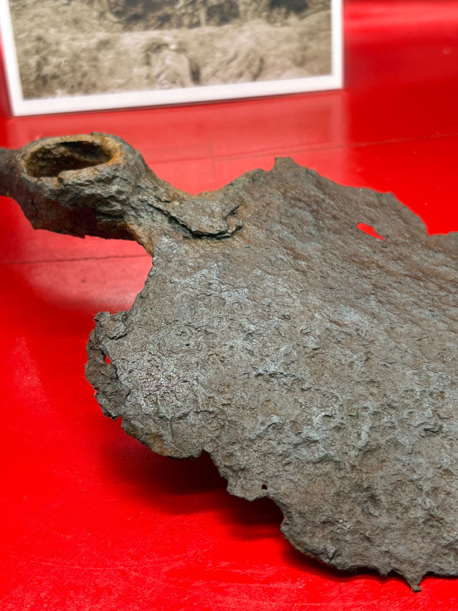 WhatsApp Image 2025-11-12 at 14.55.50 (4).jpeg