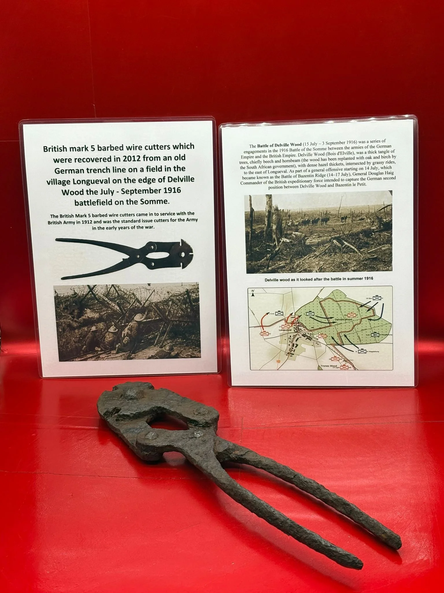 WhatsApp Image 2025-11-12 at 15.04.23.jpeg