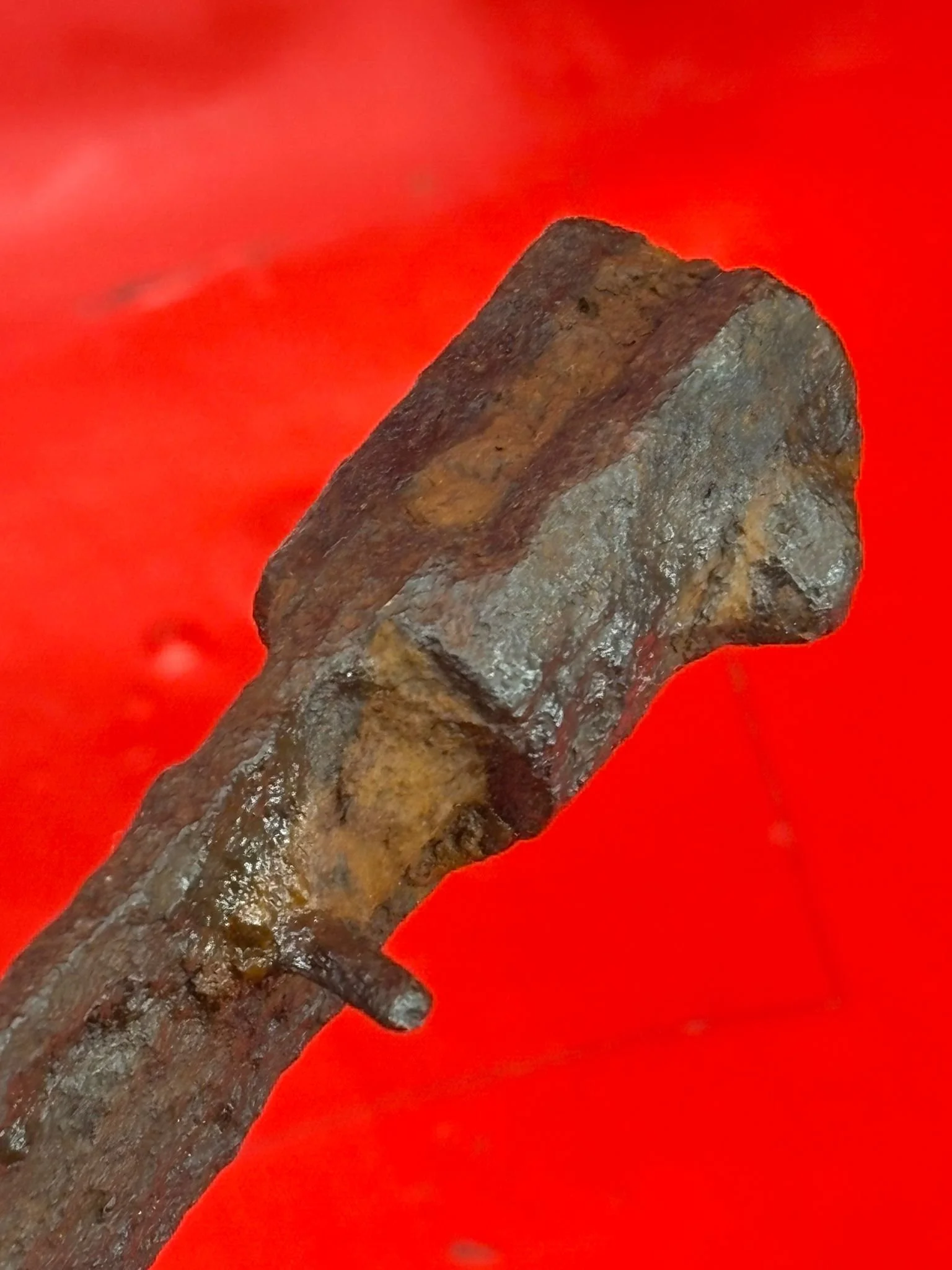 WhatsApp Image 2025-11-16 at 16.04.05 (4).jpeg