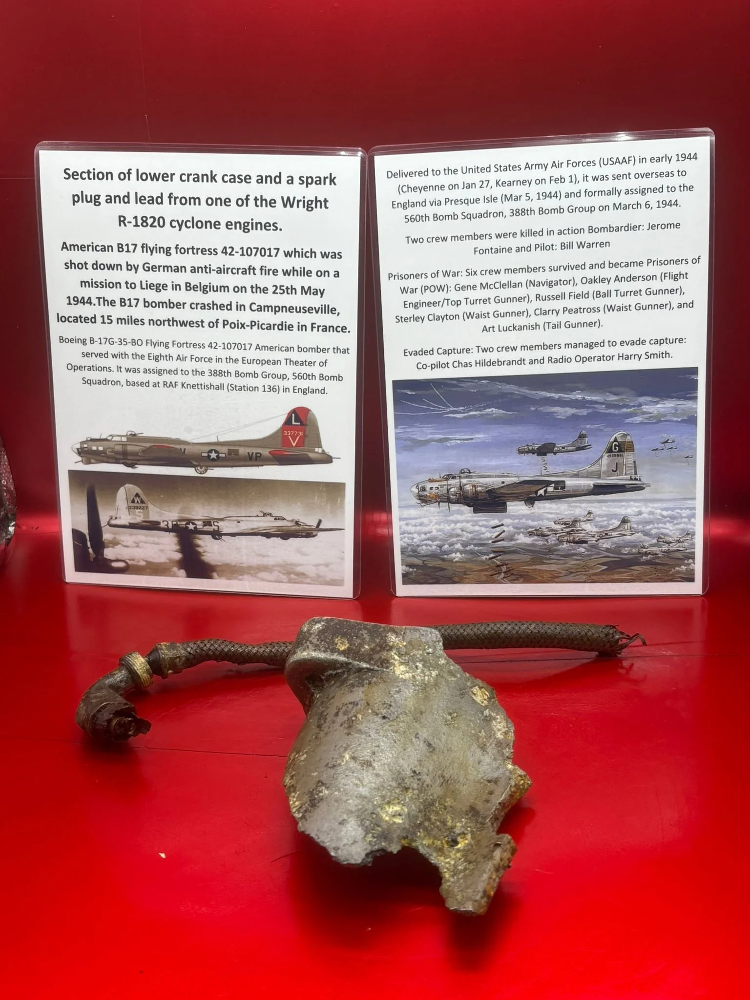 WhatsApp Image 2026-02-13 at 16.14.11.jpeg