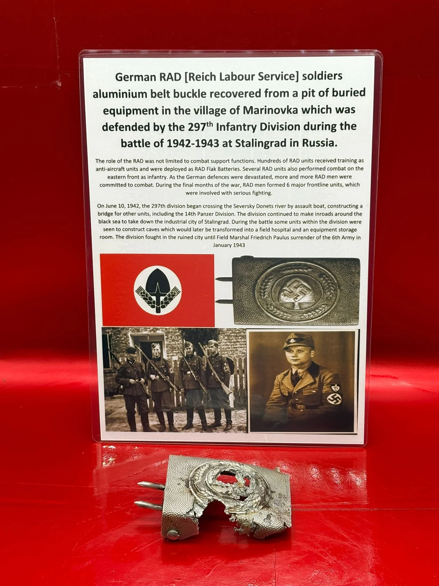 WhatsApp Image 2025-11-24 at 12.45.09.jpeg