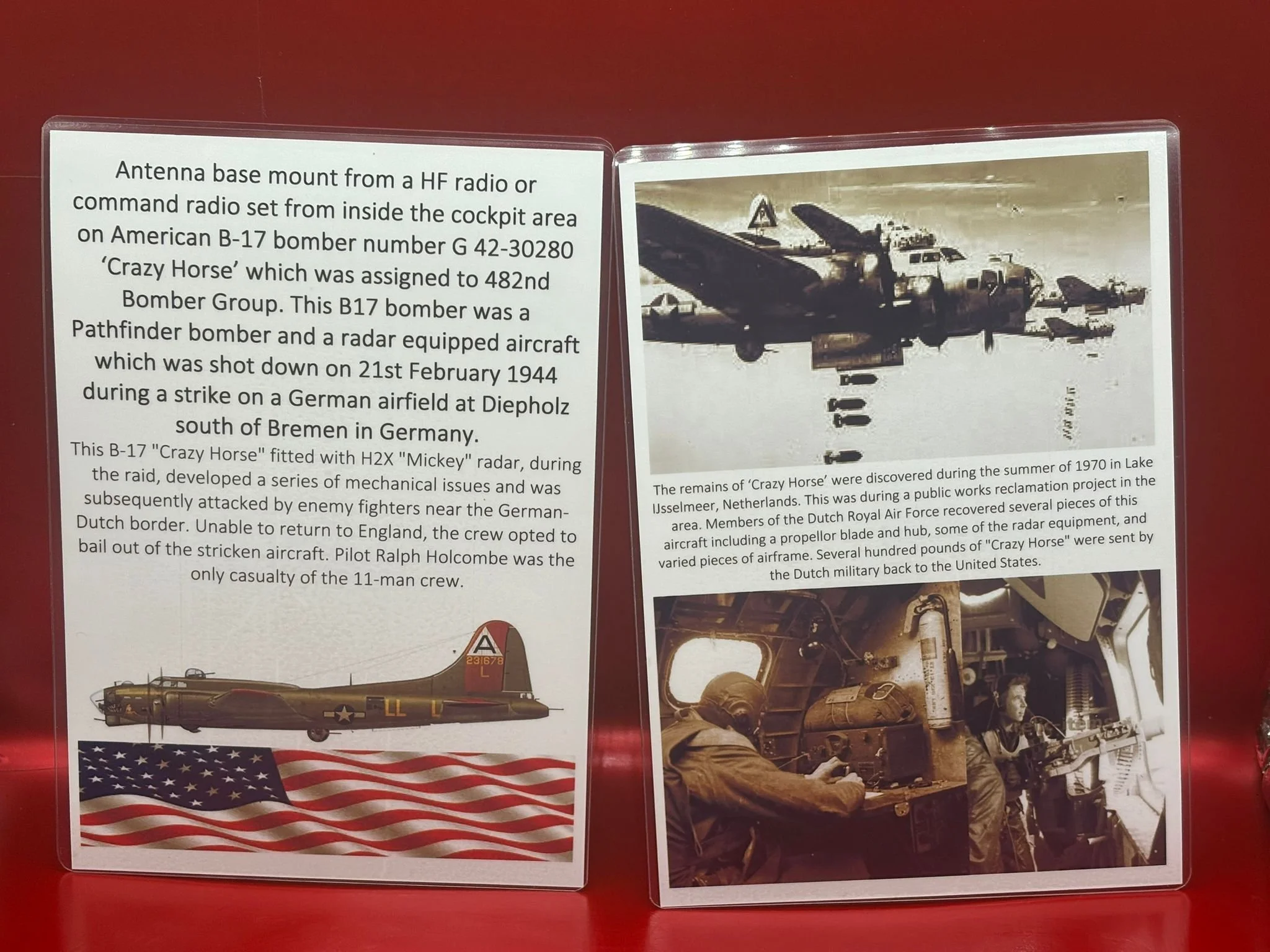 WhatsApp Image 2026-02-13 at 16.32.16 (6).jpeg