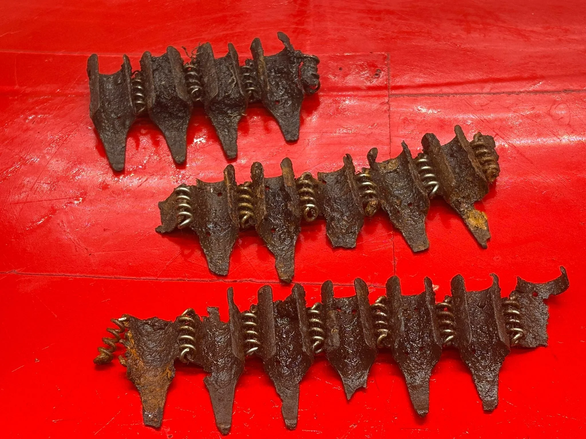 WhatsApp Image 2025-11-20 at 18.55.43.jpeg