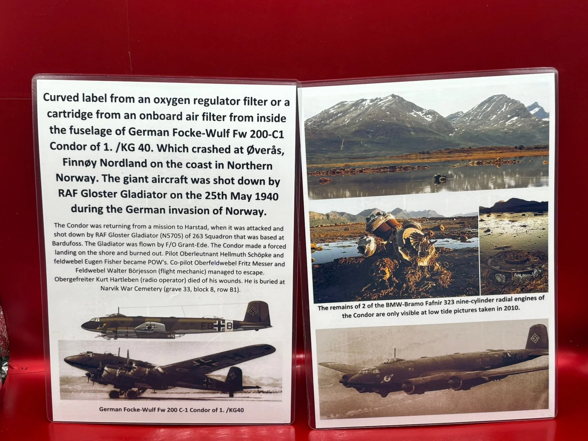 WhatsApp Image 2026-02-10 at 12.04.55 (8).jpeg