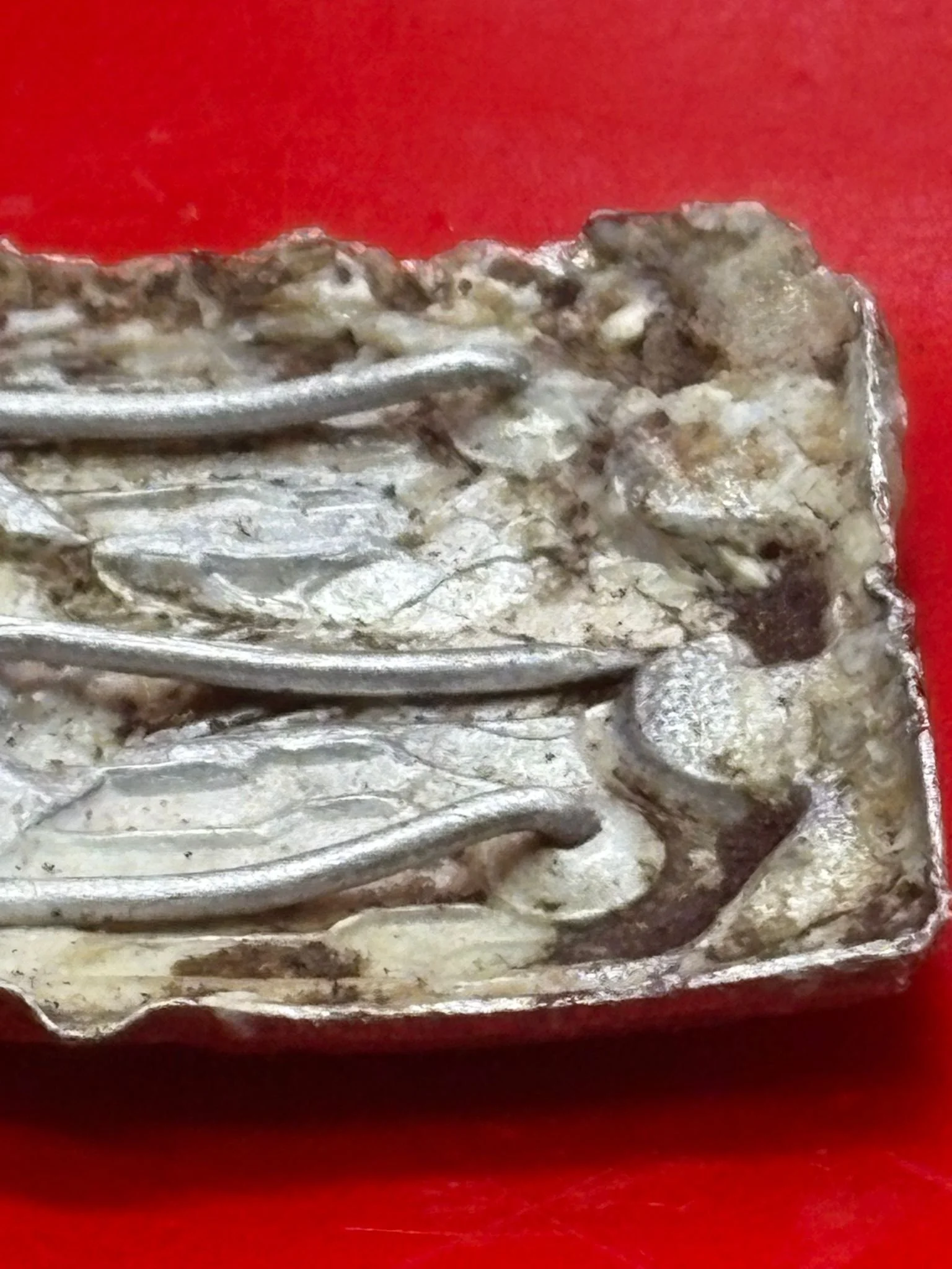 WhatsApp Image 2025-11-20 at 19.07.56 (6).jpeg